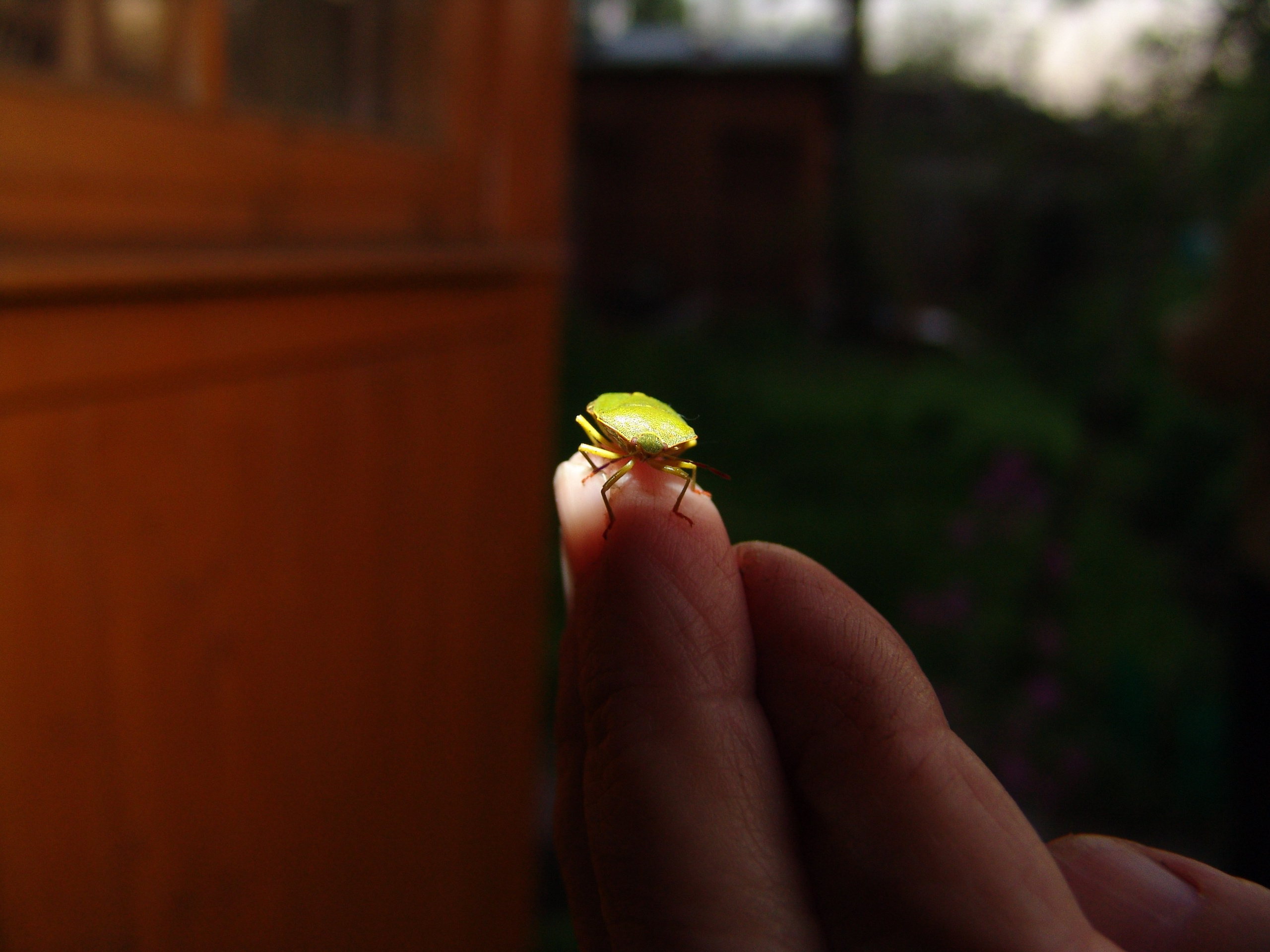 Приезд КС 2005. Заставка