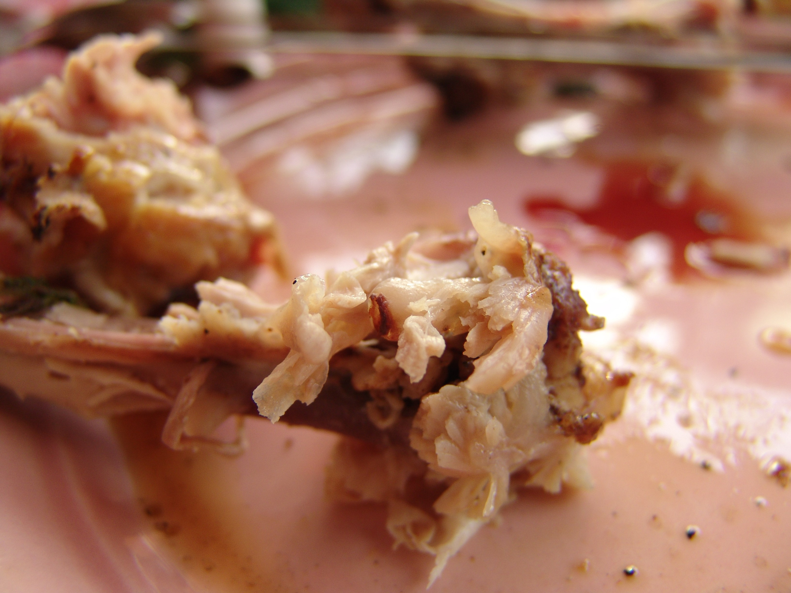 Приезд КС 2005. Заставка