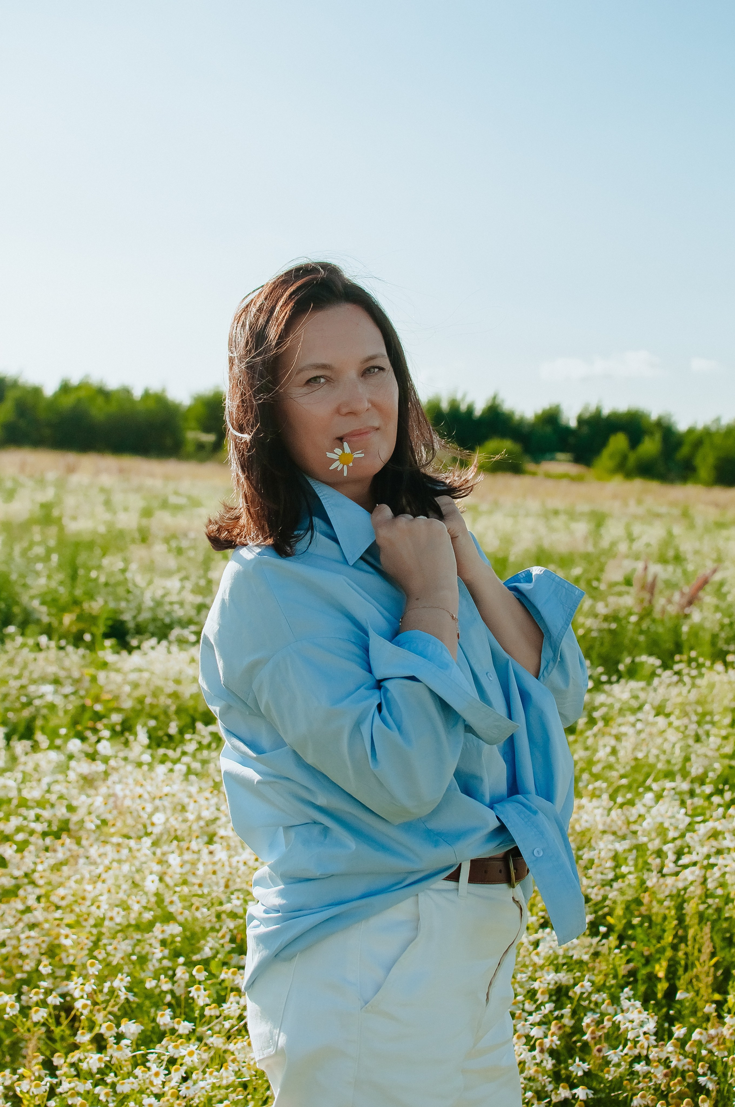 Привет ромашки