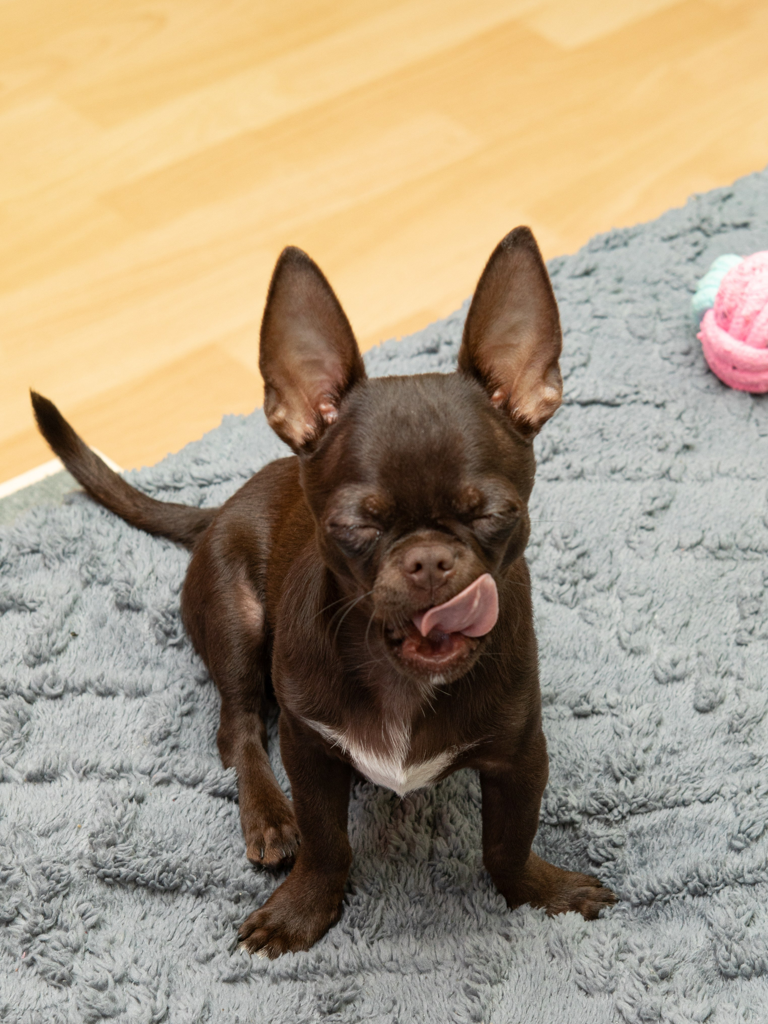 Серии. Предметный и семейный фотограф в Санкт-Петербурге Катерина Стеклова