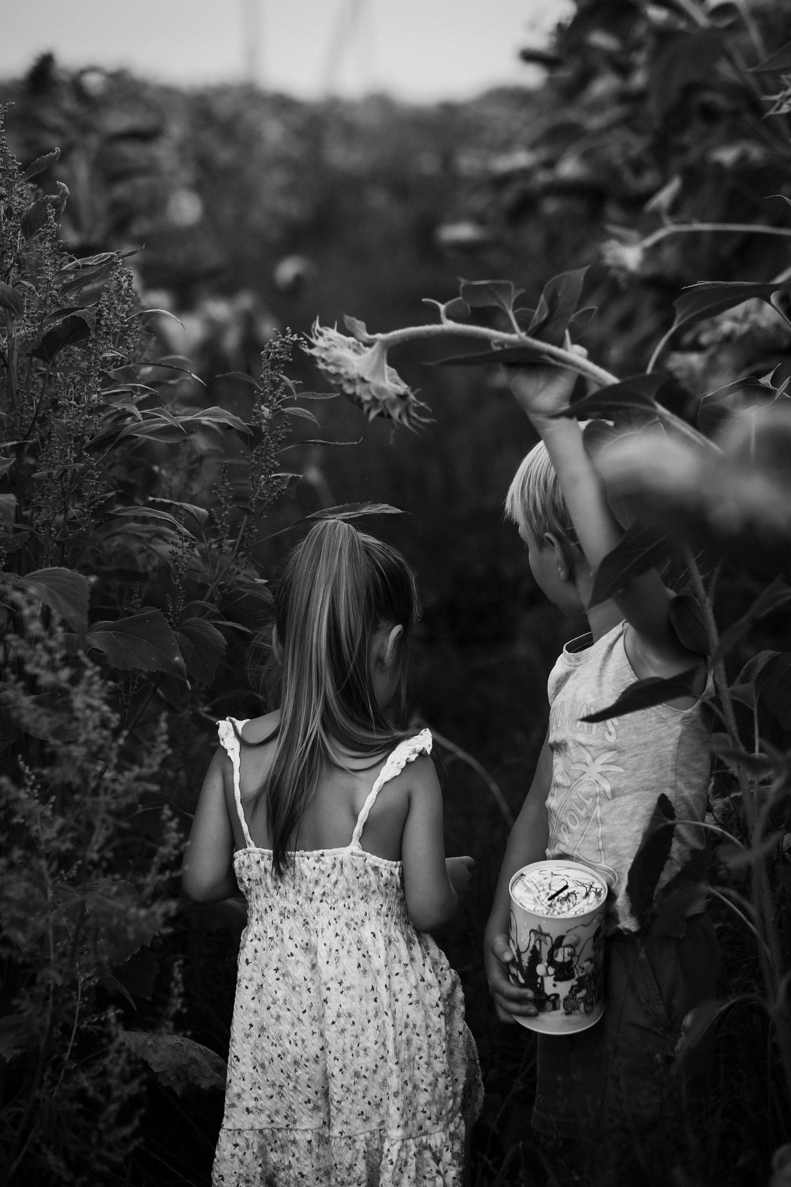 На закате лета. Главная