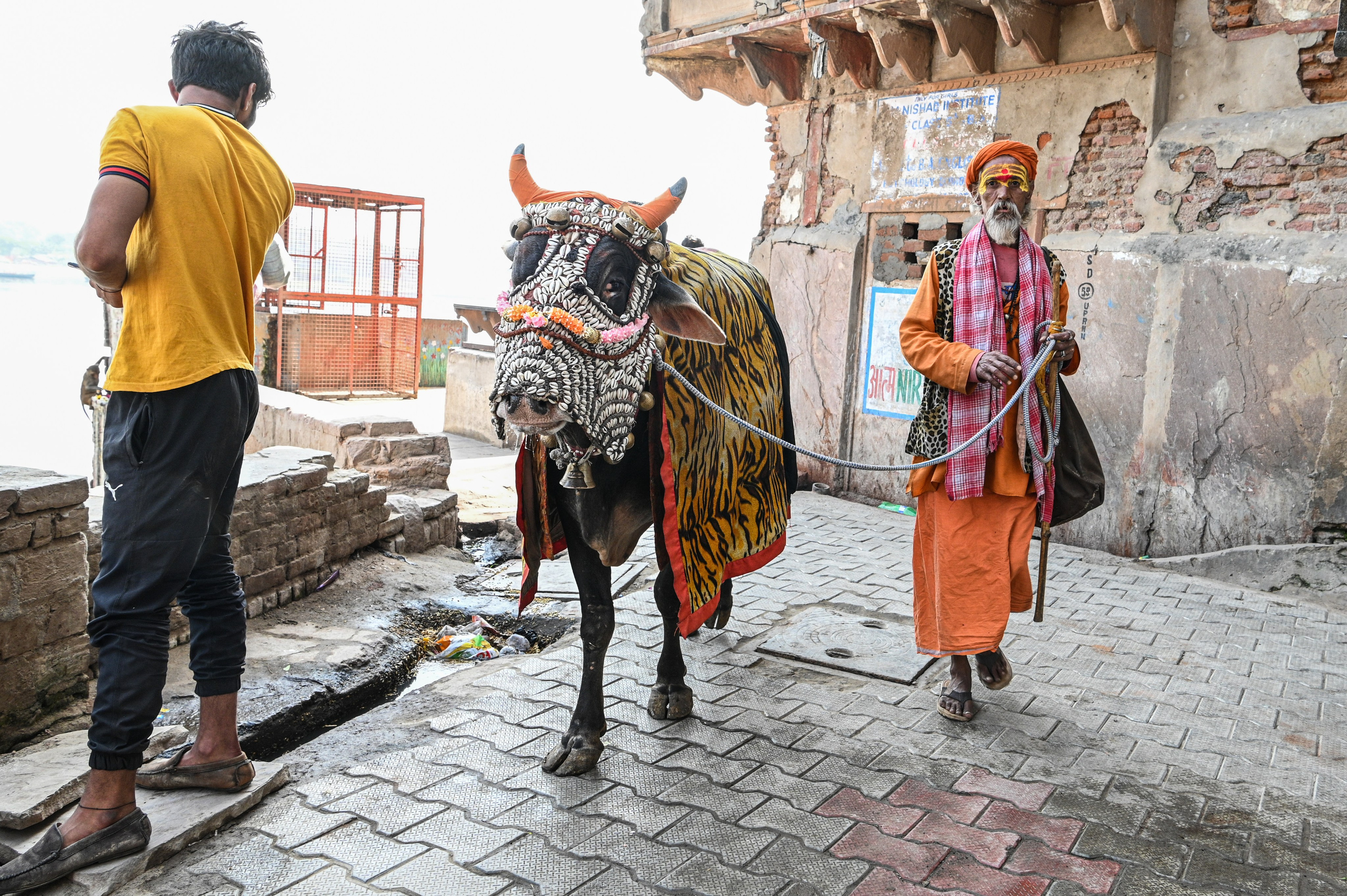 Невероятная Индия. Игорь Иванко — Репортажный и событийный фотограф. Москва