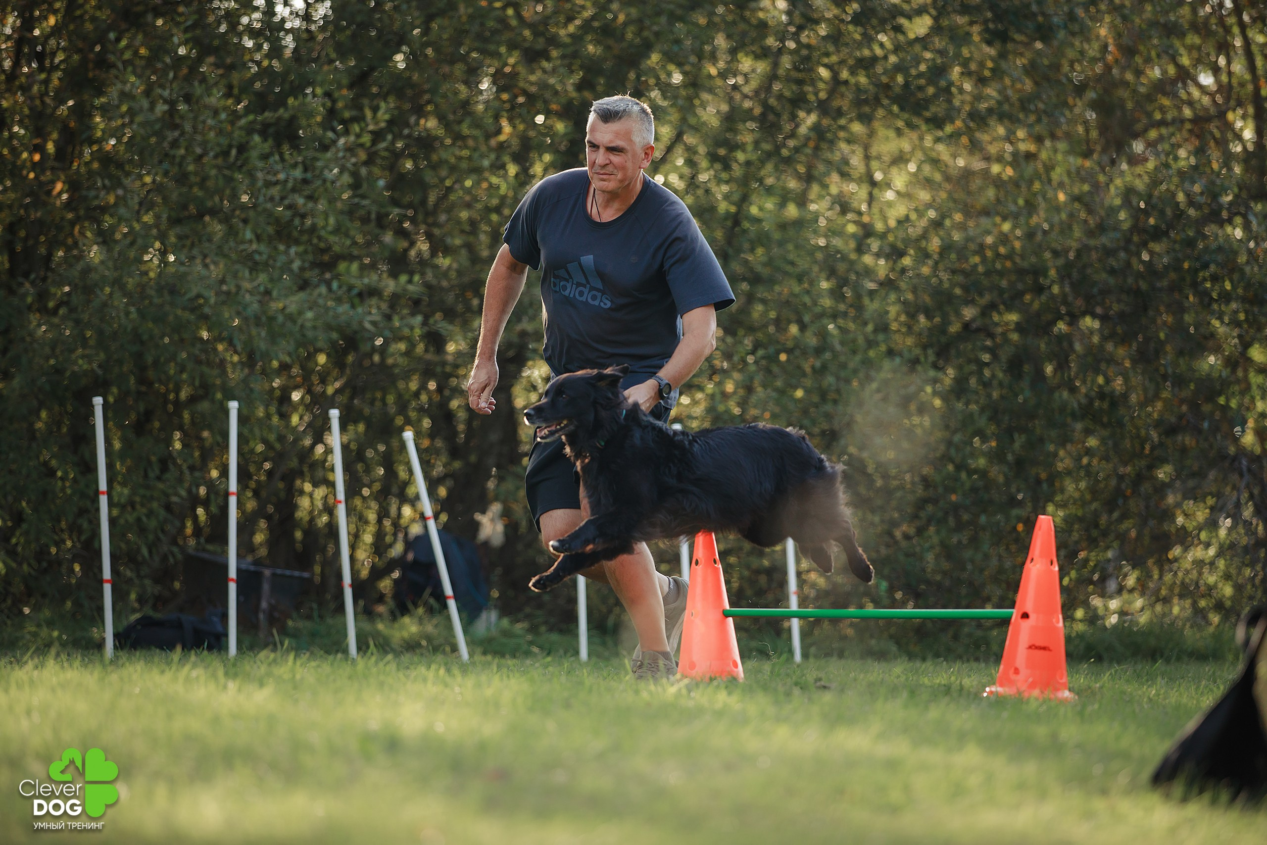 Кинологический лагерь CleverDog, 2024. Фотограф-анималист Mary Mart — Москва, Питер