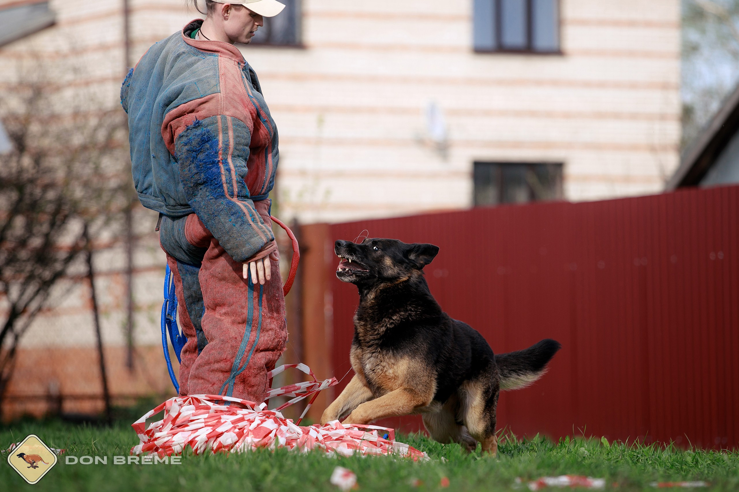 Семинар для фигурантов, день 2. Фотограф-анималист Mary Mart — Москва, Питер