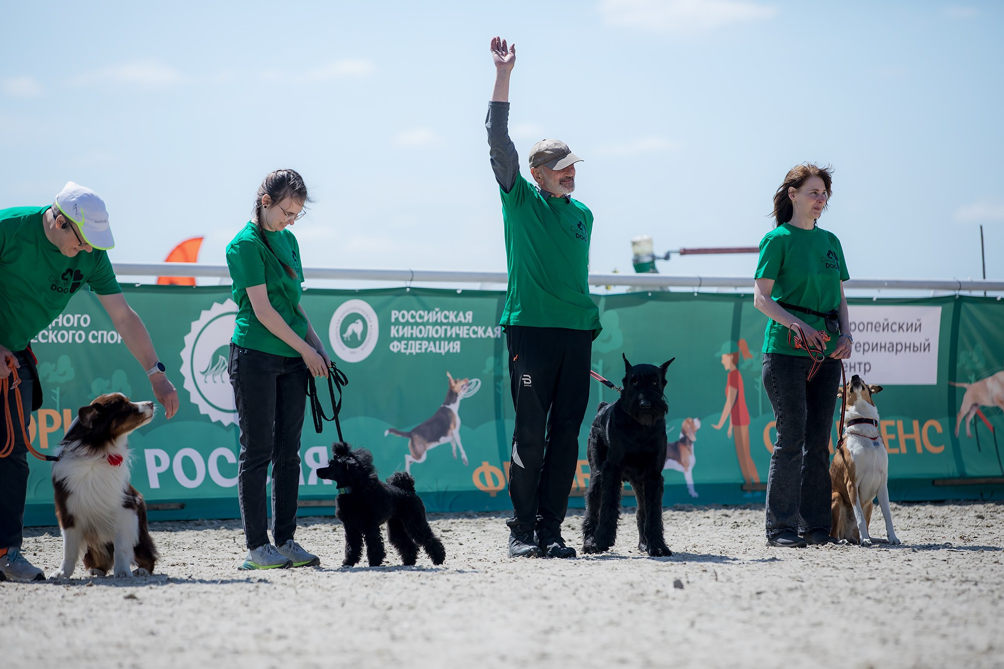 Показательные выступления по NoseWork на выставке «Россия». Фотограф-анималист Mary Mart — Москва, Питер