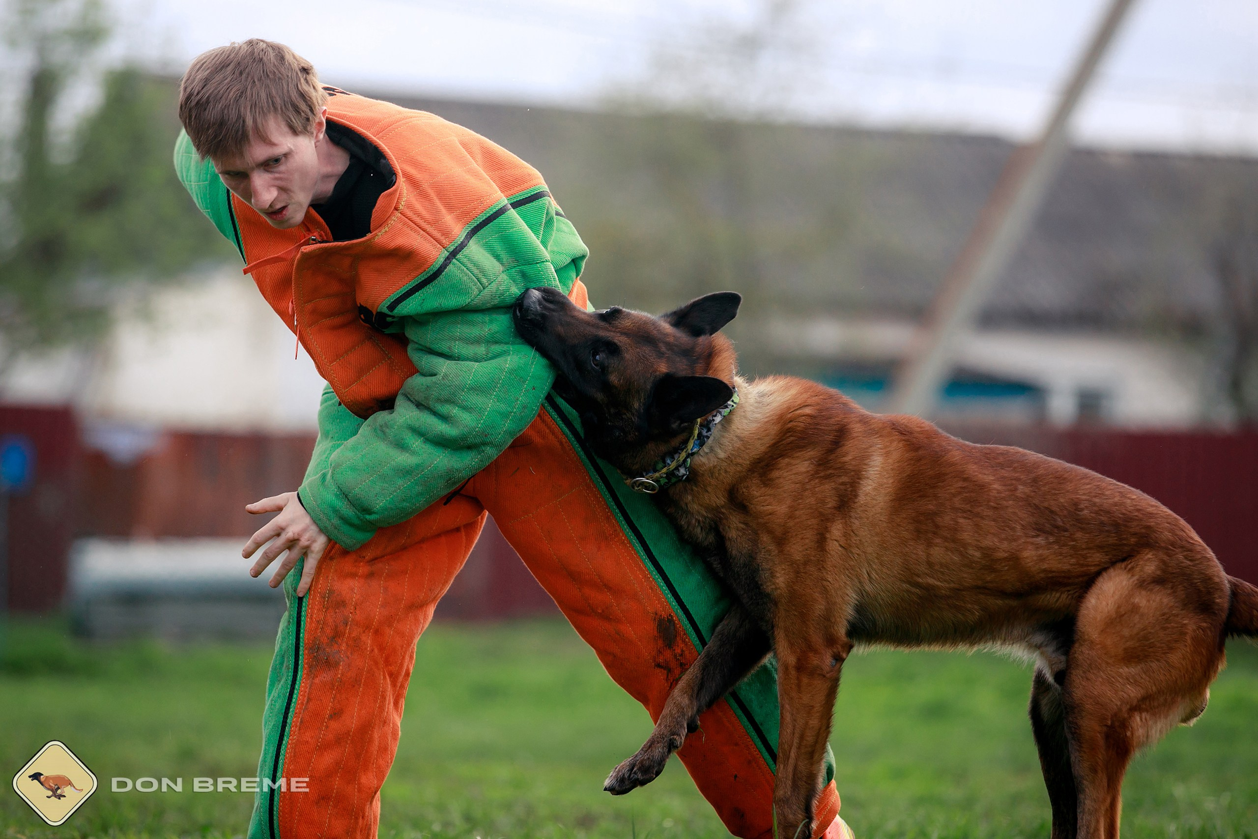 Семинар для фигурантов, день 2. Фотограф-анималист Mary Mart — Москва, Питер