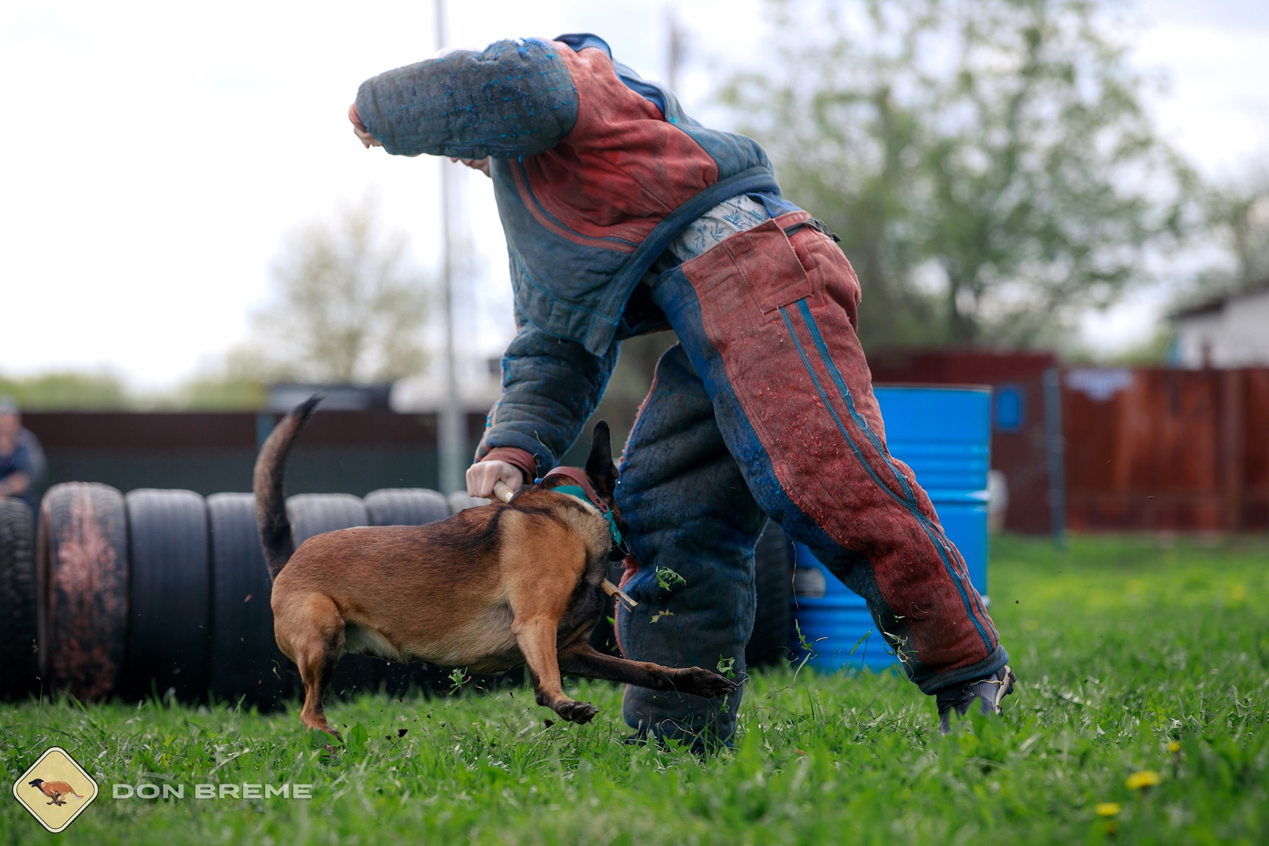 Семинар для фигурантов, день 2. Фотограф-анималист Mary Mart — Москва, Питер