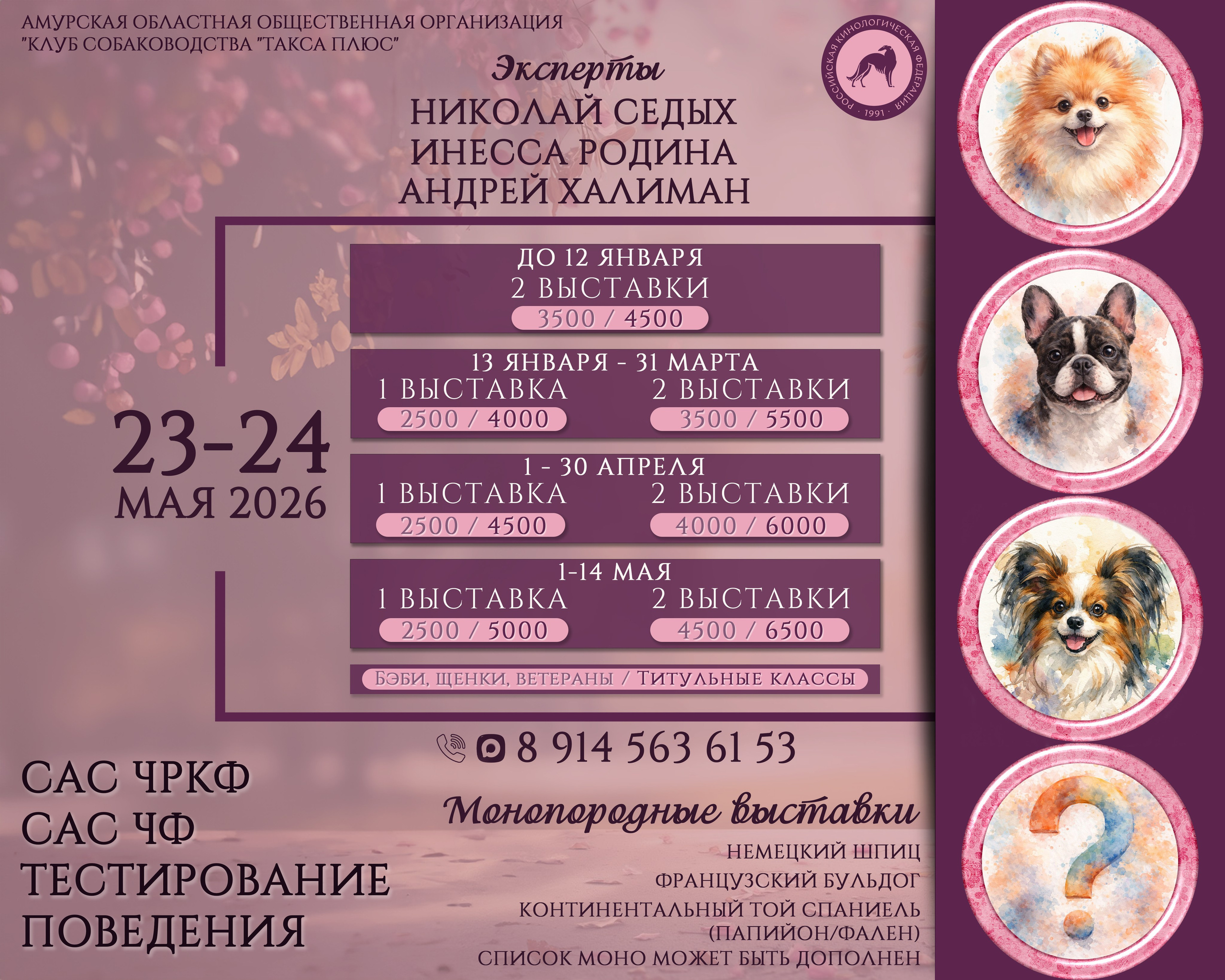 Анонсы мероприятий. Фотограф анималист Благовещенск. Сафонова Виктория