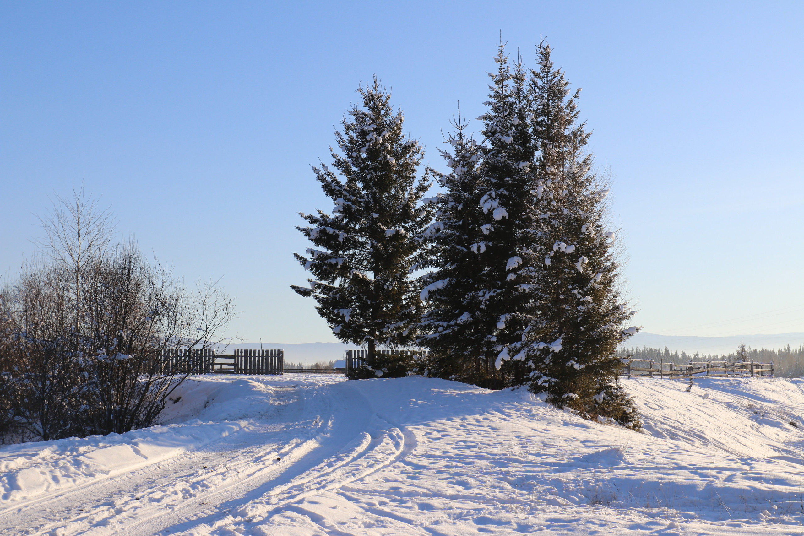Аршан. Январь 2022. Путешественник-фотограф из Санкт-Петербурга Татьяна Свистулина