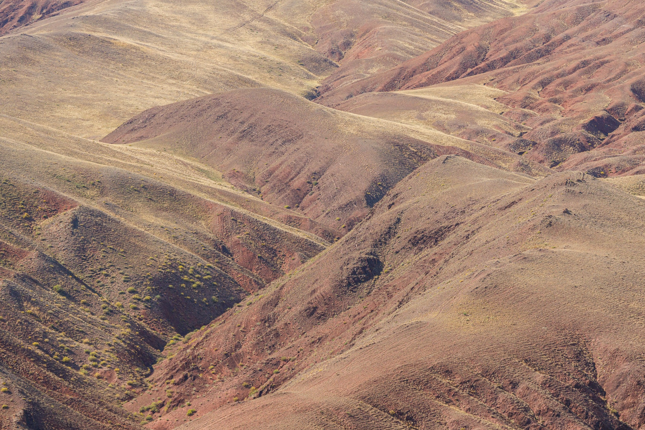 Календарь на 2026 год. Фотохудожник Андрей Лагунов