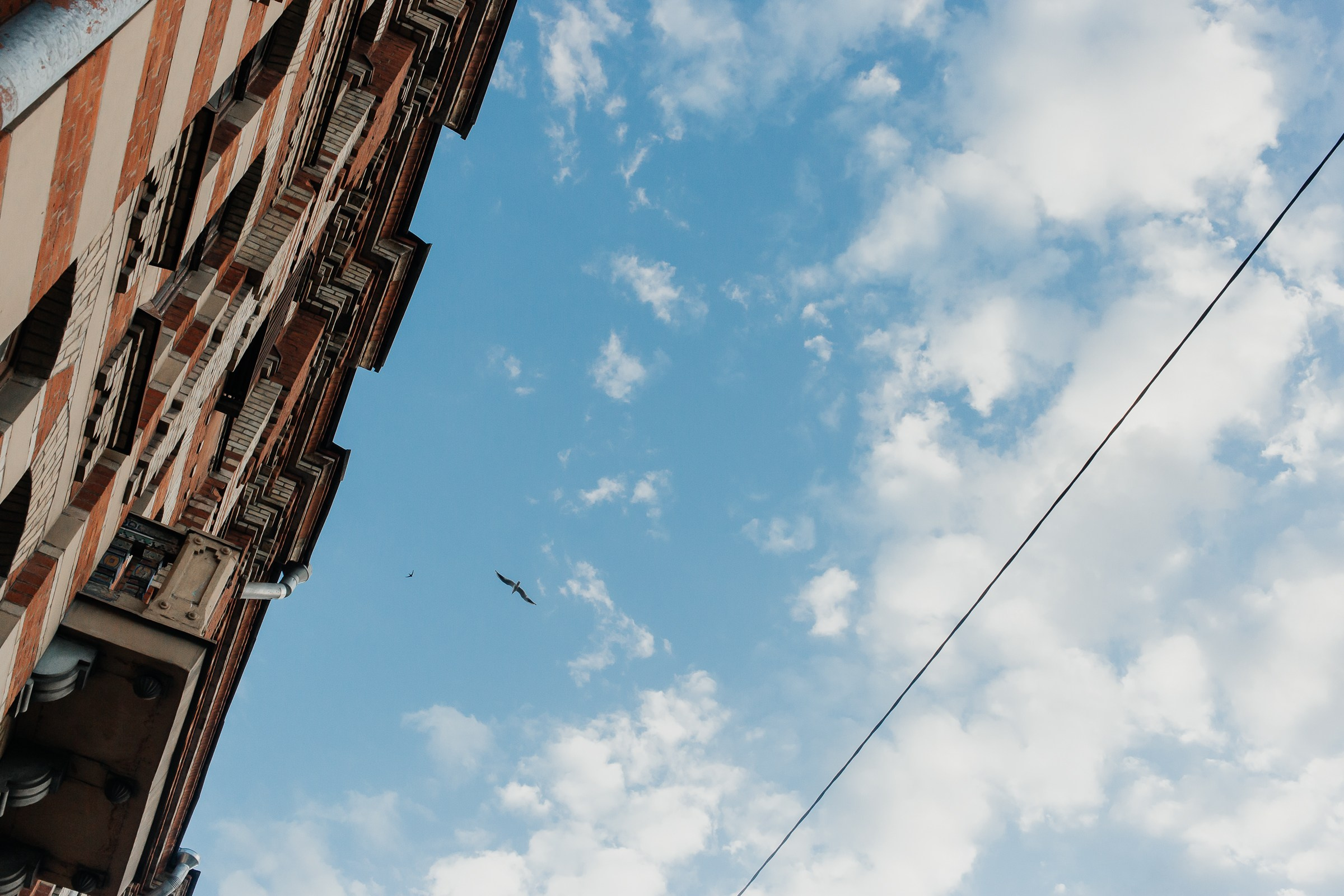 Дарья и Иван. Репортажный фотограф Анастасия Головко