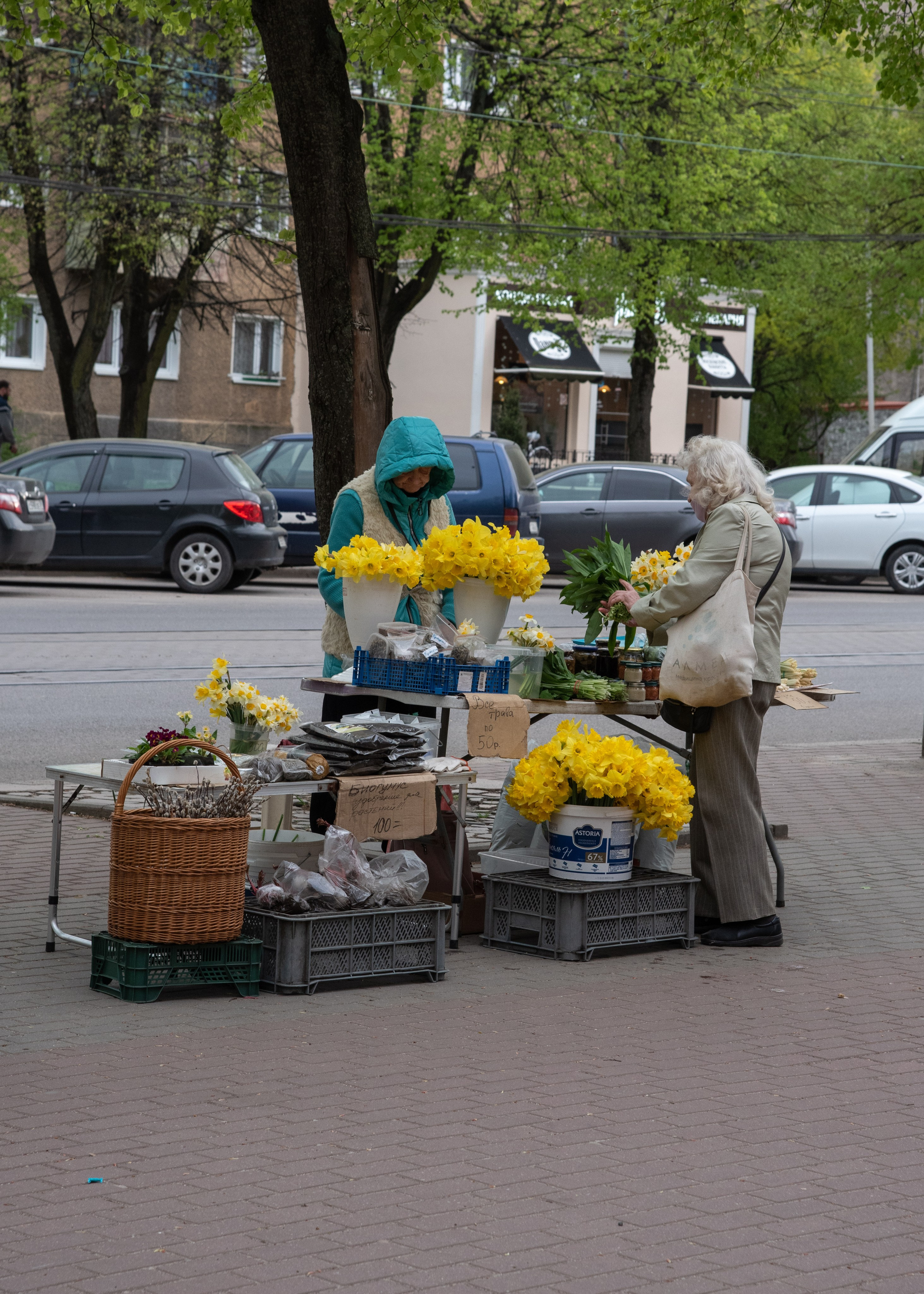 Калининград, Светлогорск. Фотограф Юлия Зимина