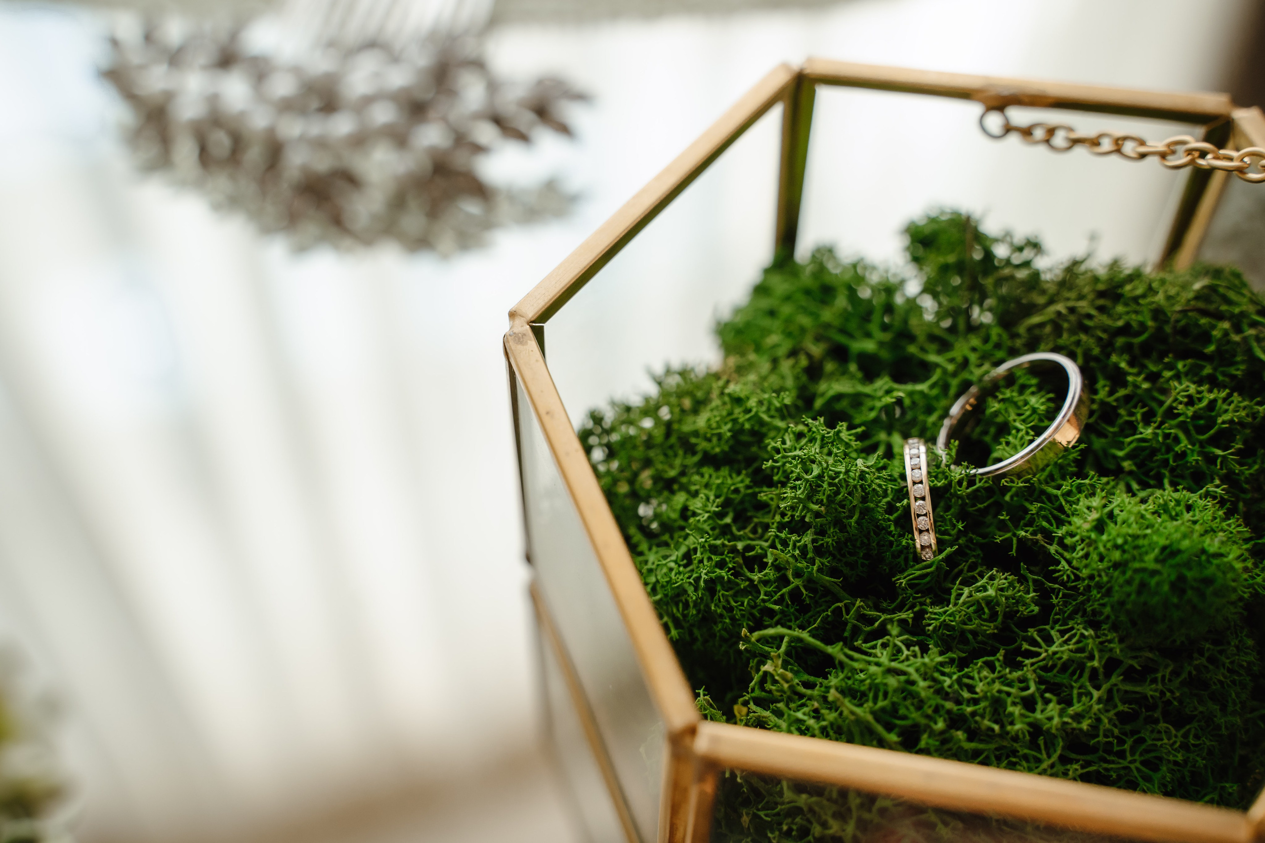 Светлана и Сергей 15.06.2022. Главная