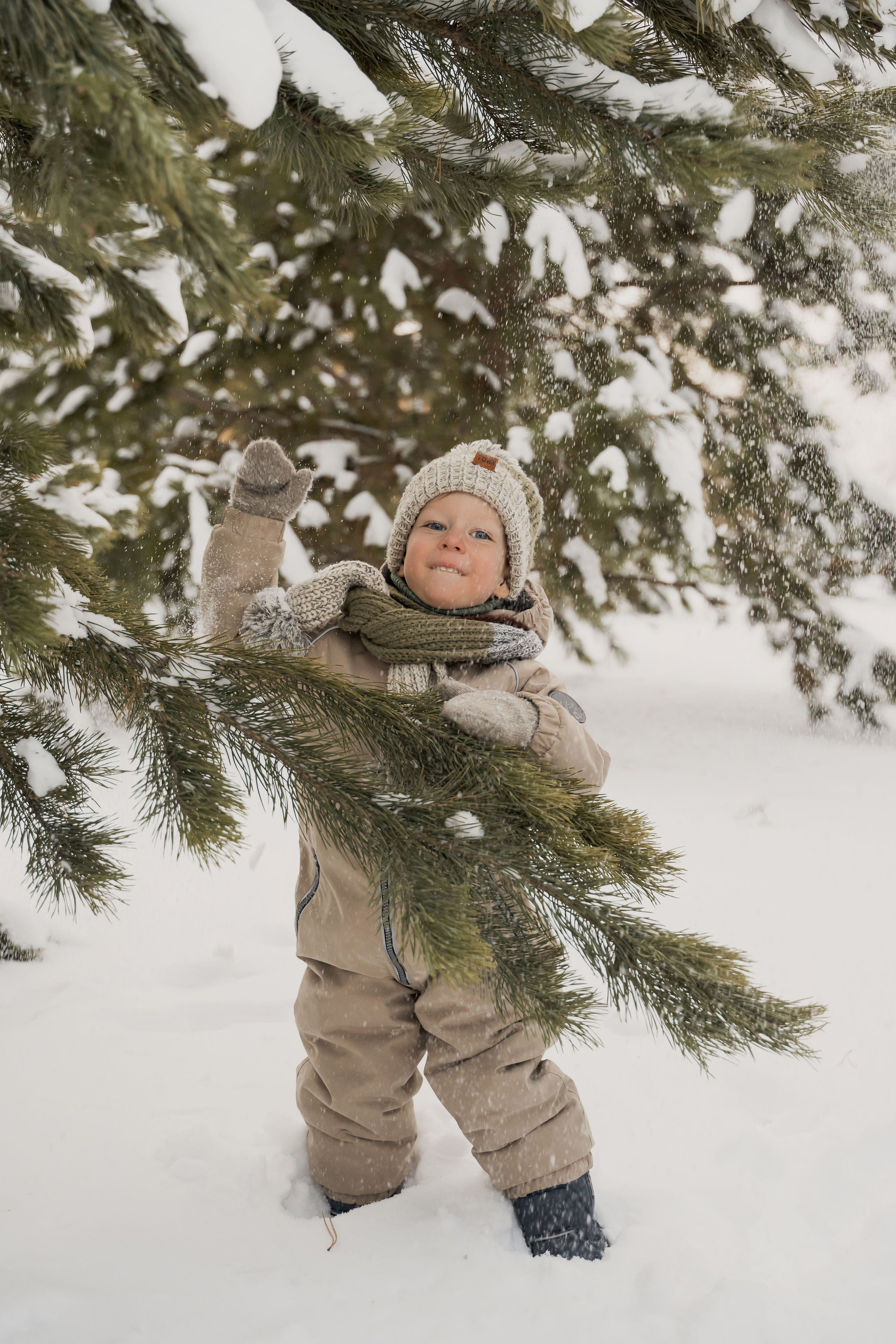 Зимняя прогулка. Главная