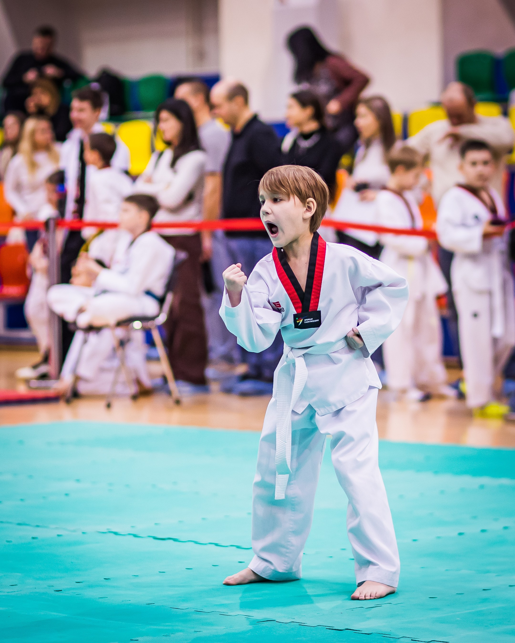 Турнир Федерации детского тхэквондо России по дисциплине ПХУМСЭ. Спортивный фотограф Максим Серегин