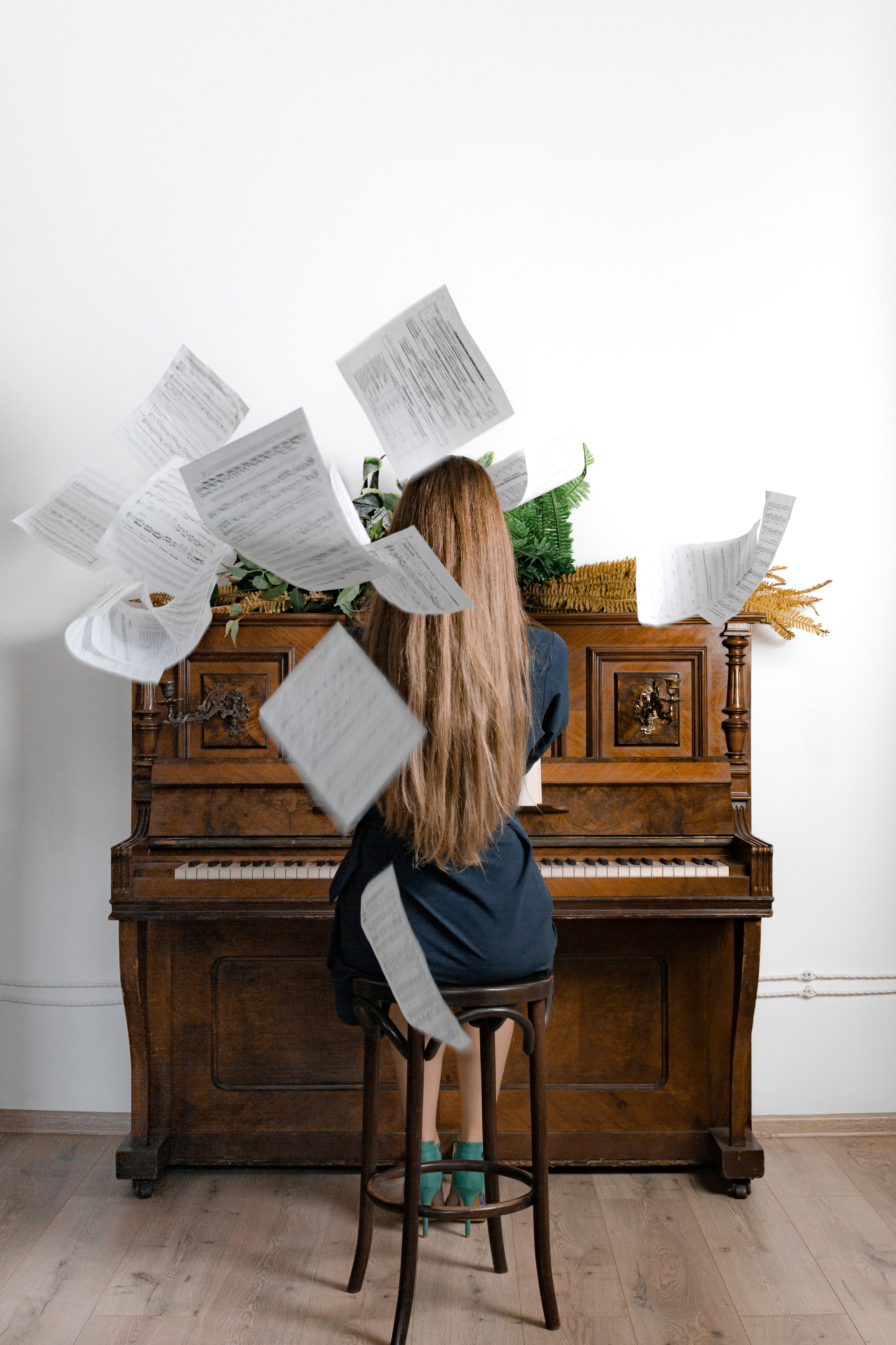 Портфолио. Анатолий Филенков фотограф в Санкт-Петербурге