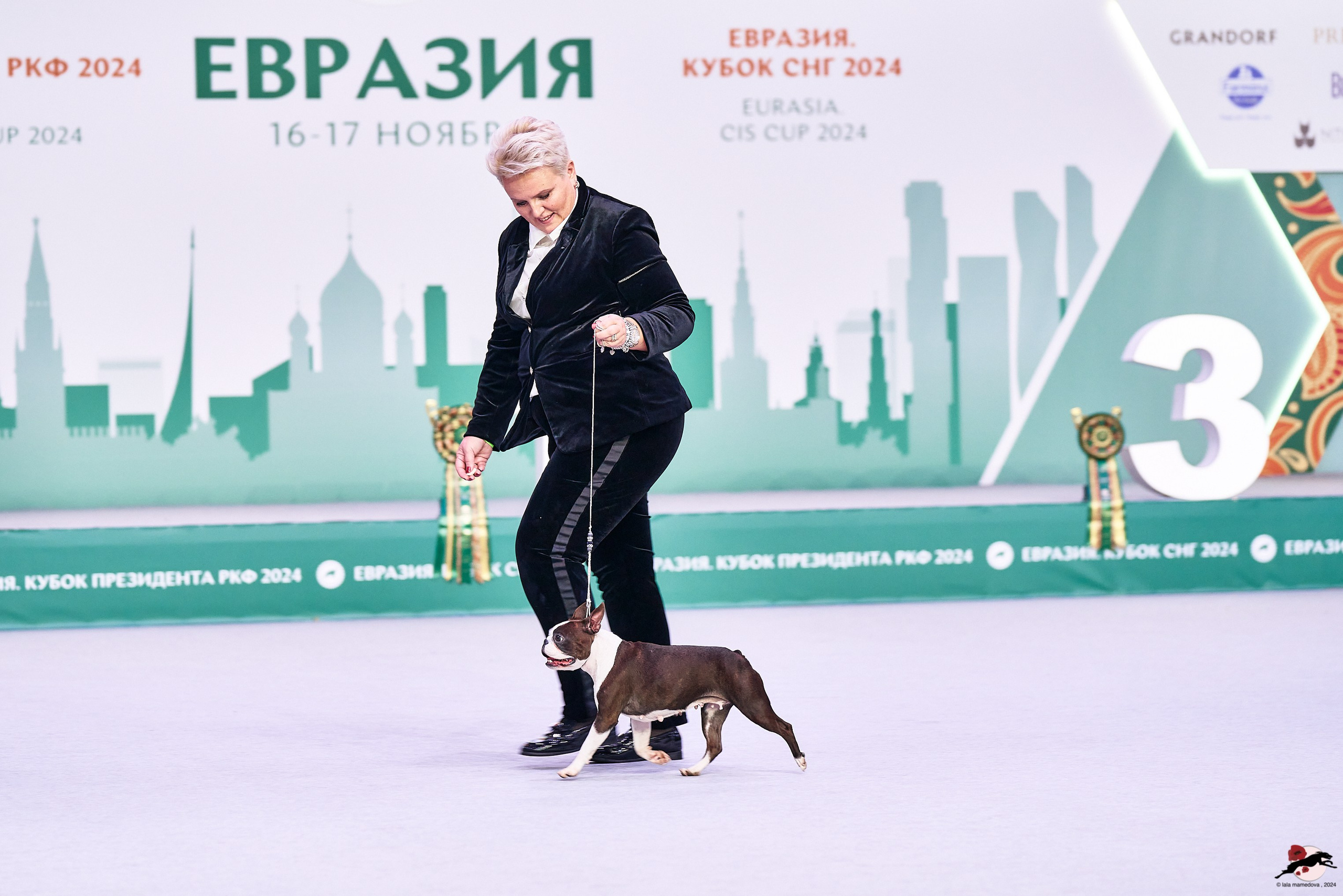 16.11.2024 «ЕВРАЗИЯ. КУБОК ПРЕЗИДЕНТА РКФ 2024»