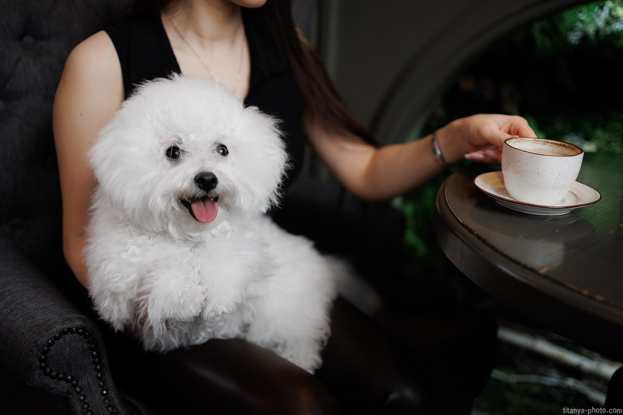 Девушки и облачка. Фотограф собак, фотограф-анималист Аня Титова (Titanya). Москва