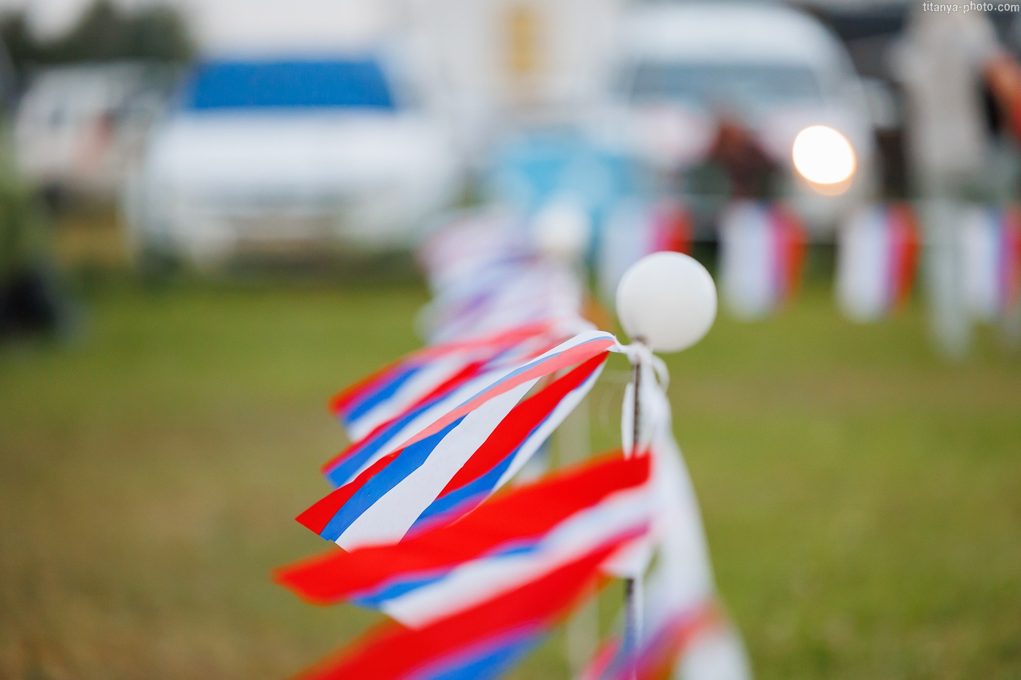 Фотографии с монопородных выставок немецких овчарок. Фотограф собак, фотограф-анималист Аня Титова (Titanya). Москва