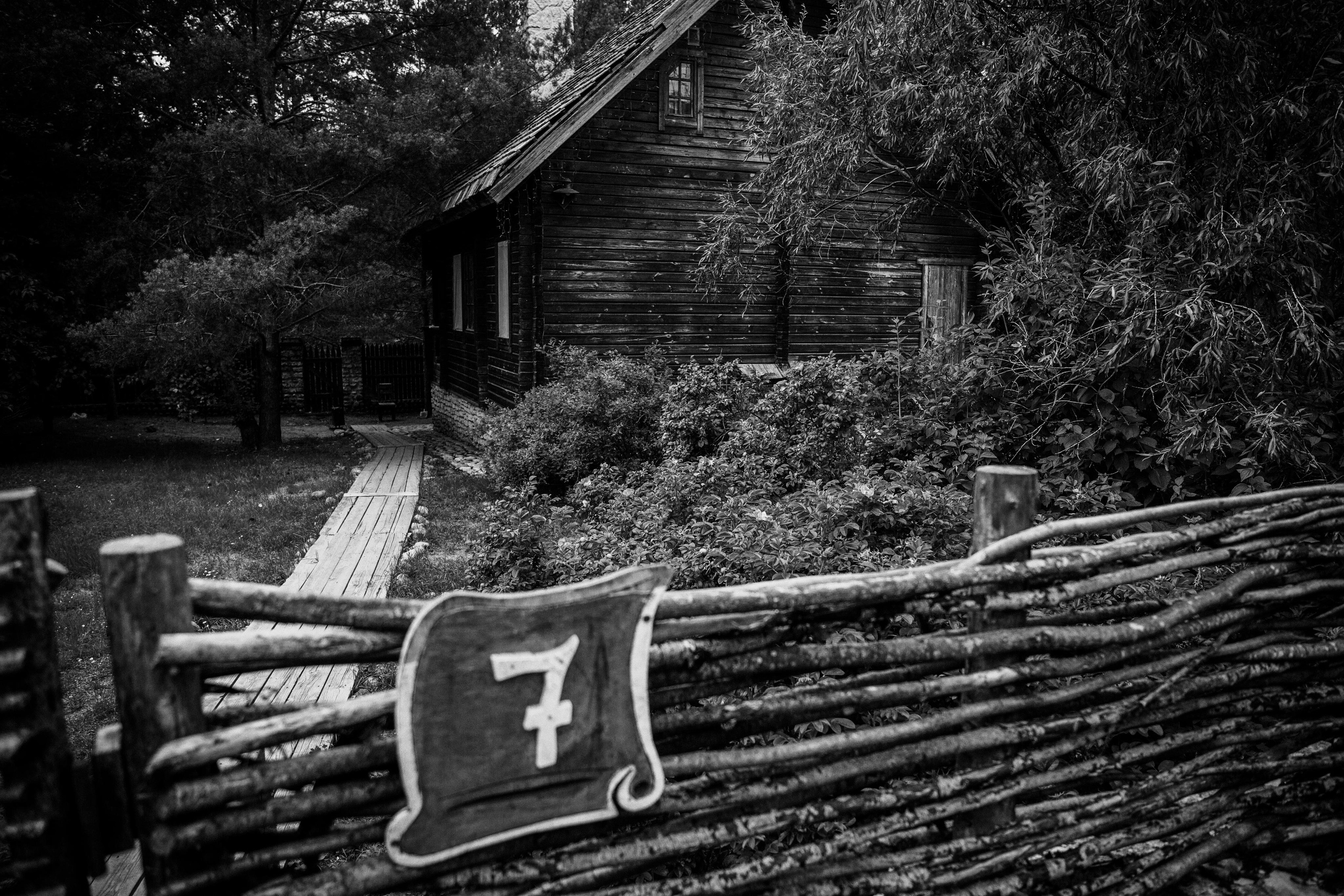 Сергей & Алина. Анастасия Гольнева