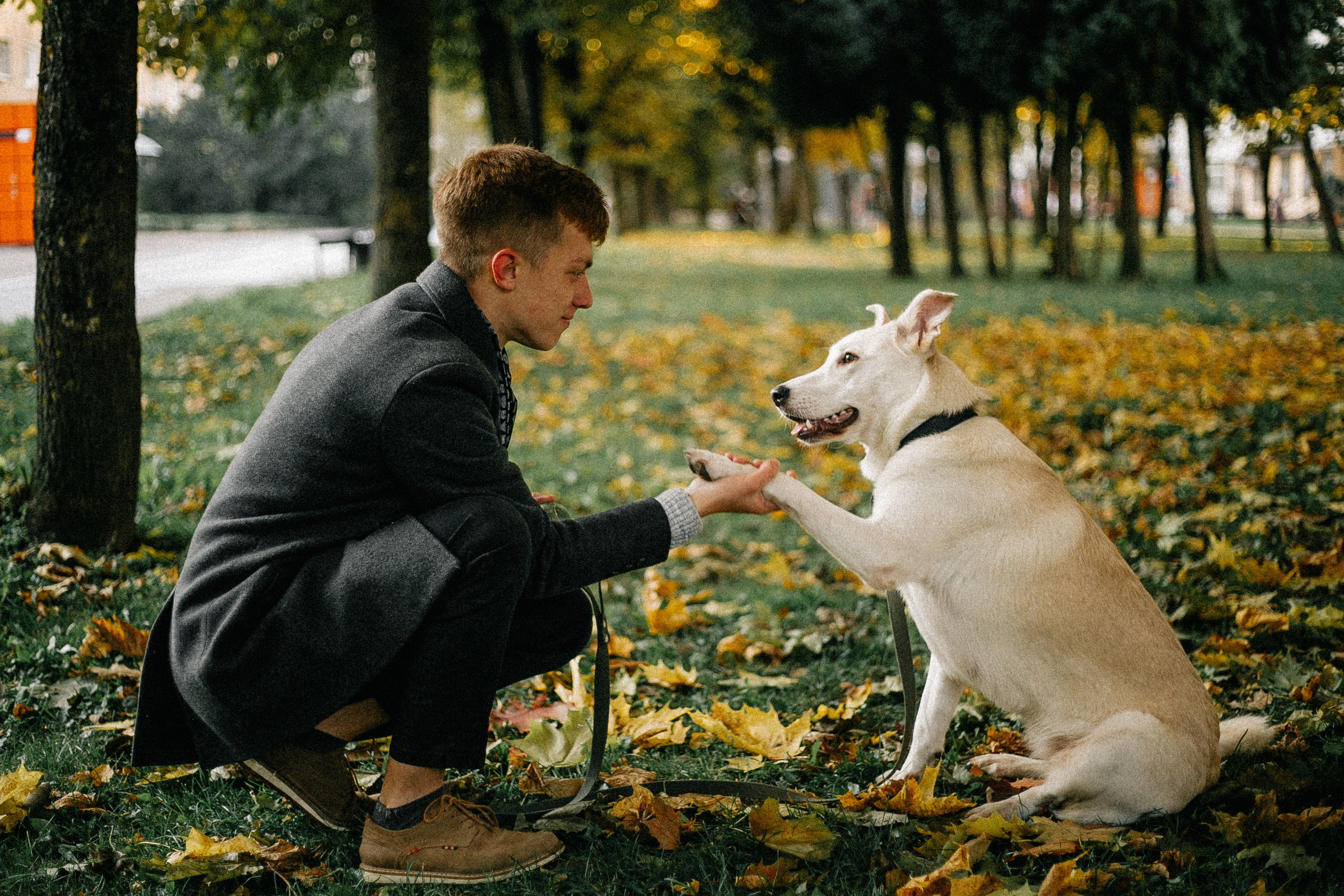 Ранняя прогулка. Анастасия Гольнева