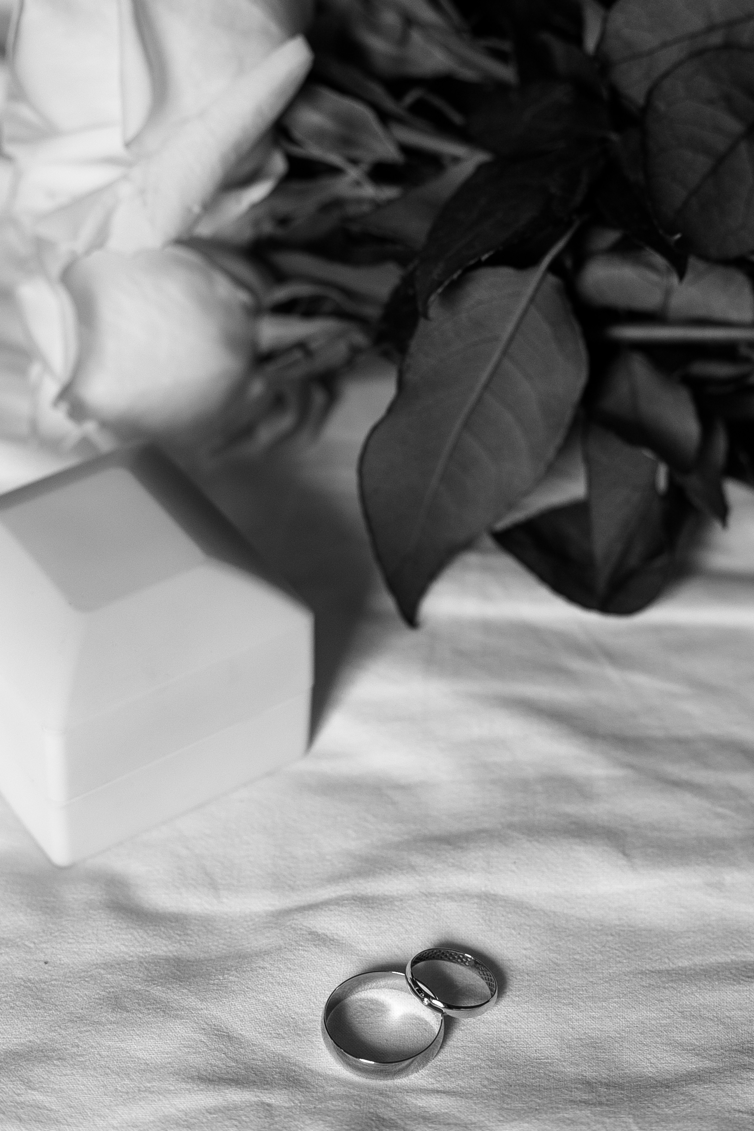 Максим & Кристина. Анастасия Гольнева