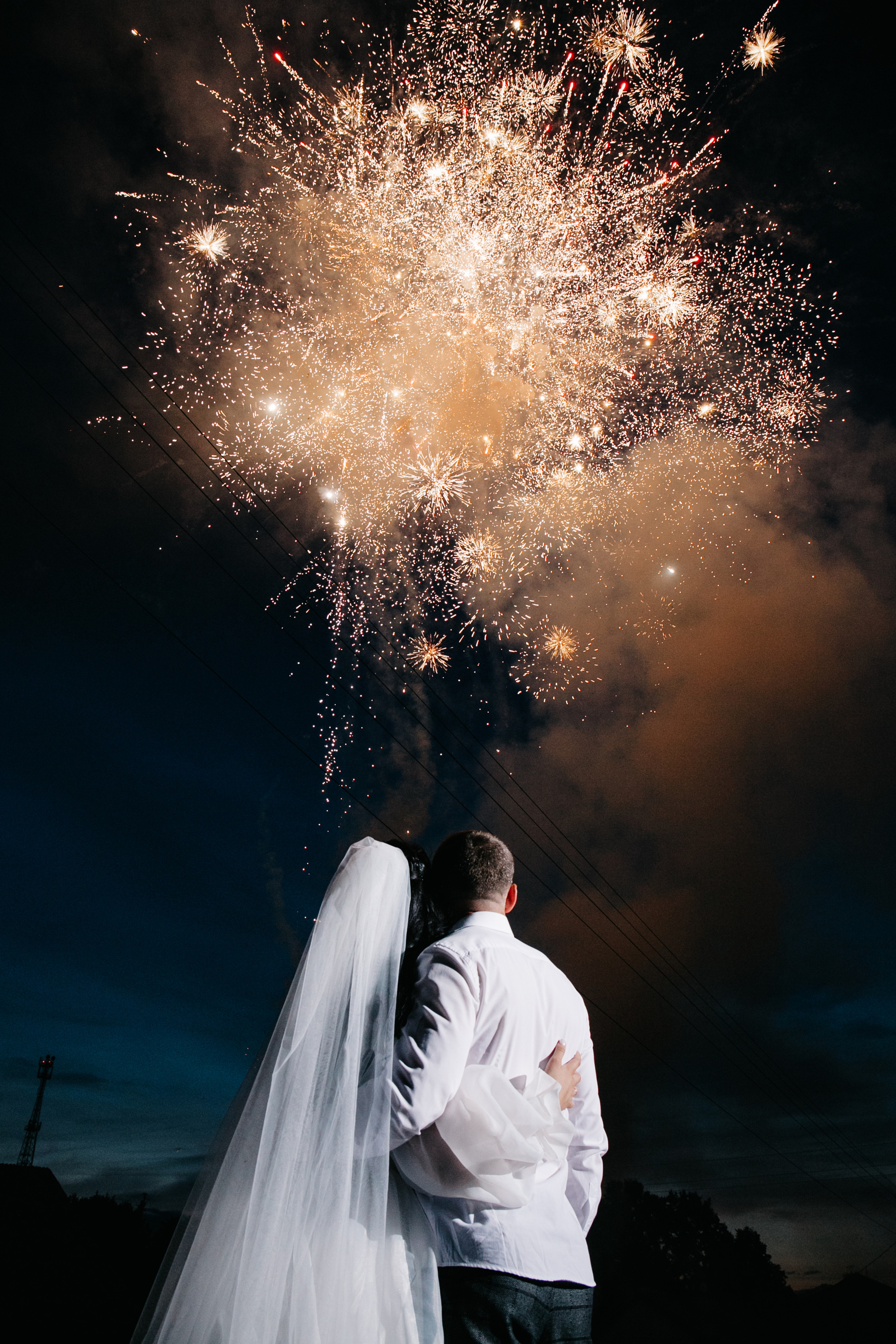 Свадьбы. Анастасия Гольнева