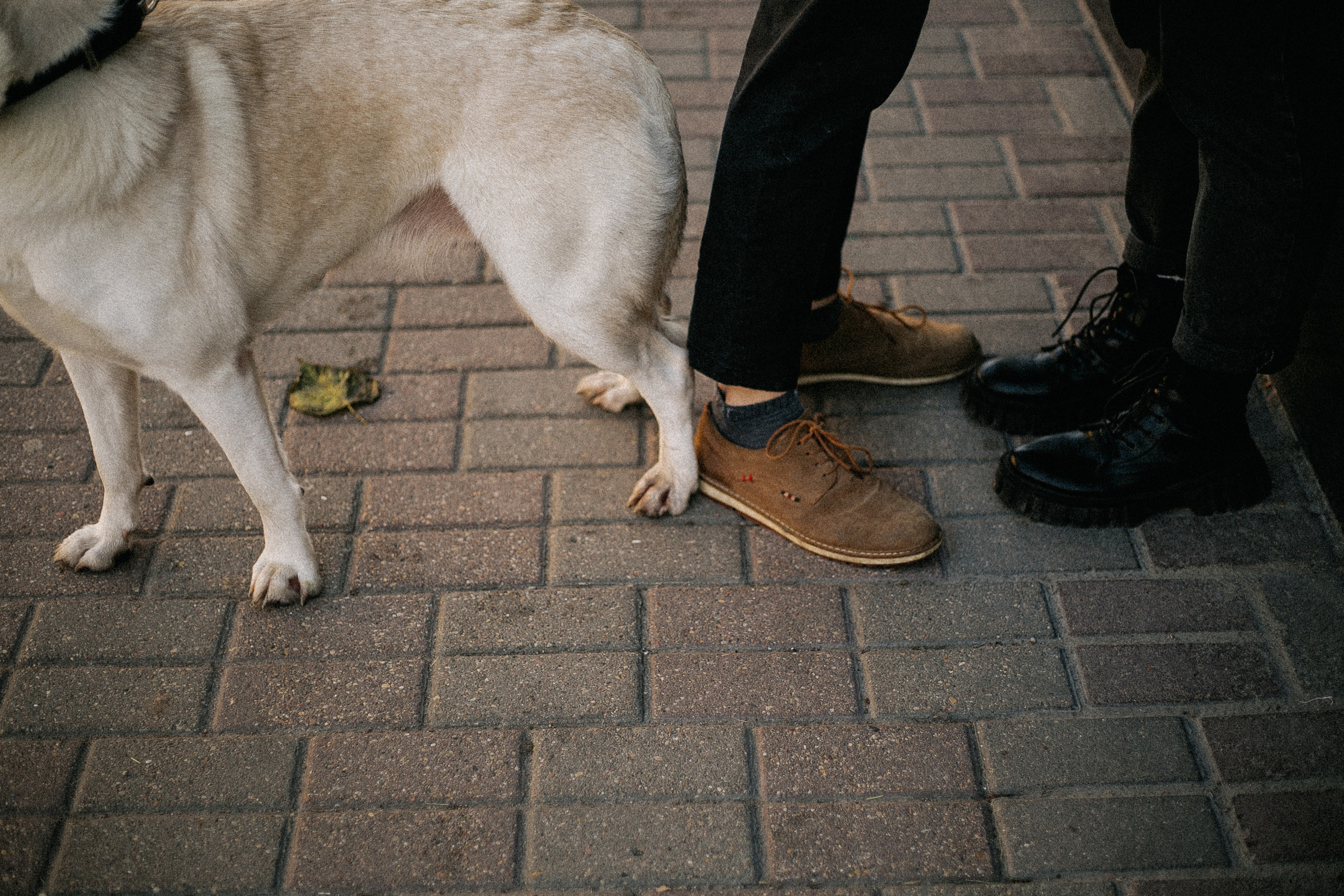 Ранняя прогулка. Анастасия Гольнева