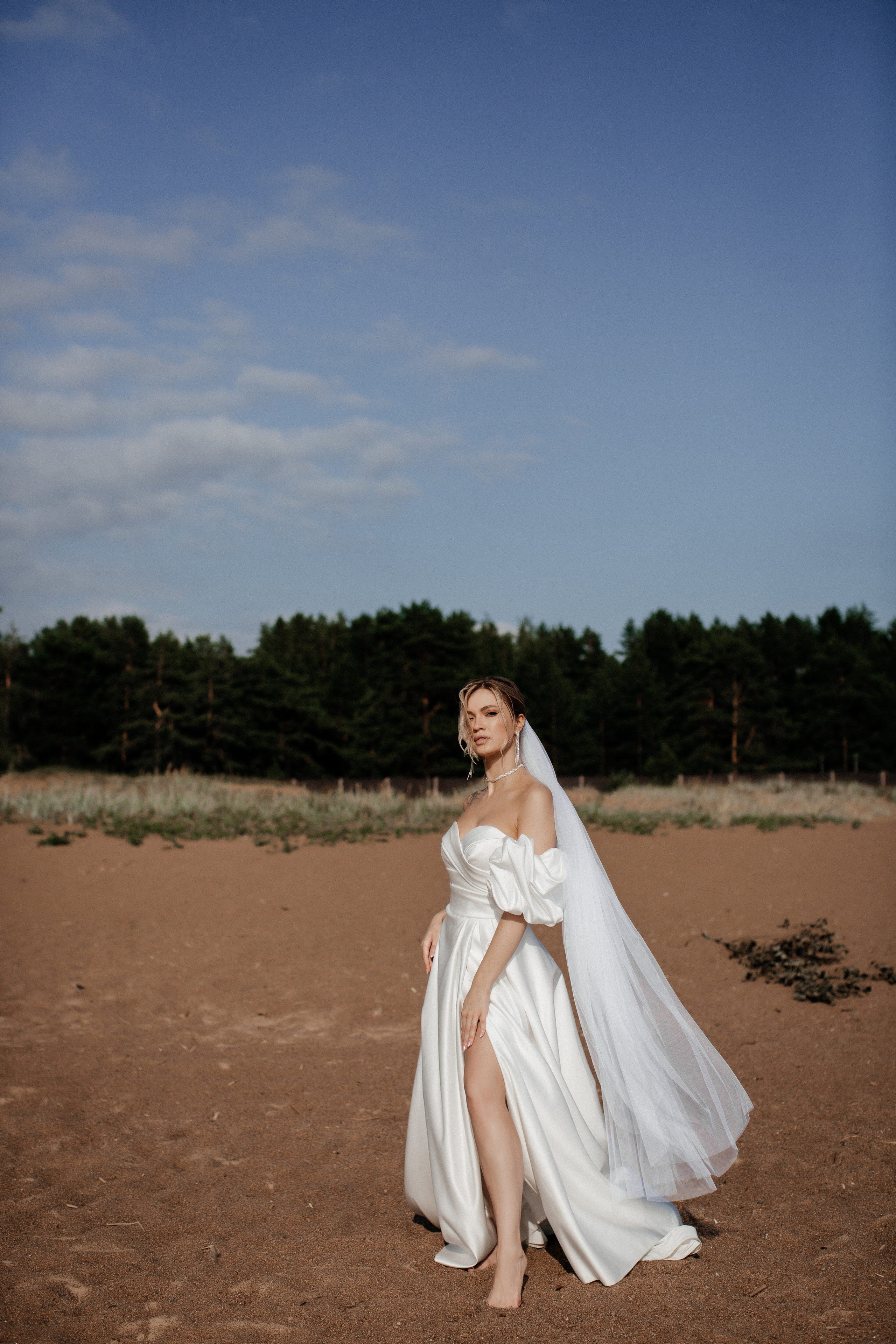 Сергей & Алина. Анастасия Гольнева