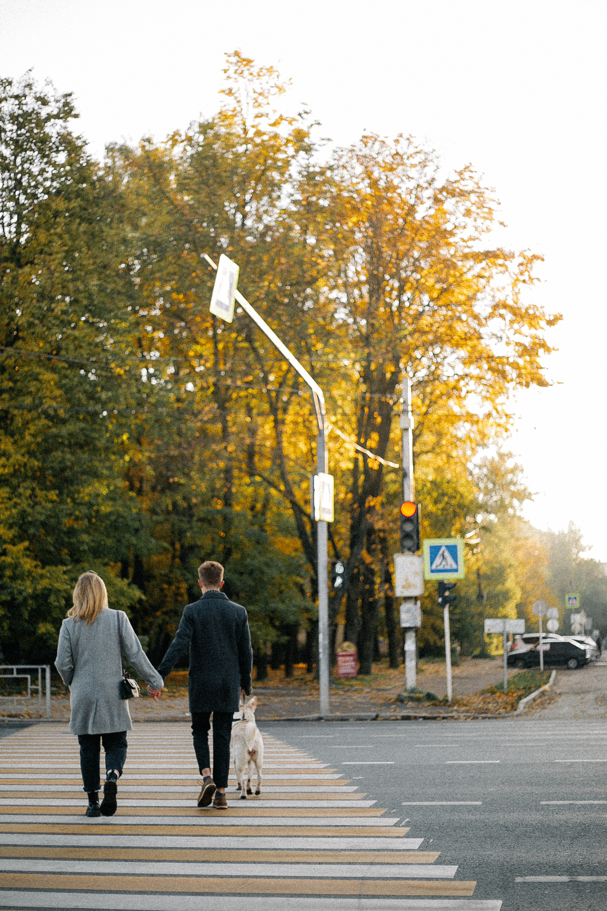 Ранняя прогулка. Анастасия Гольнева