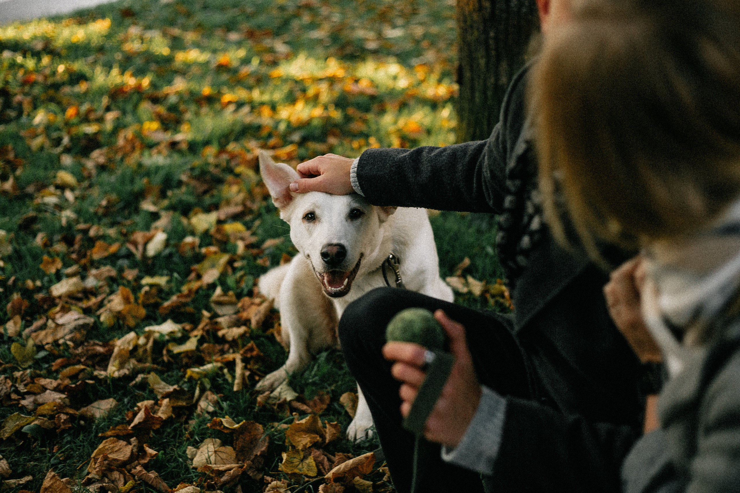 Ранняя прогулка. Анастасия Гольнева
