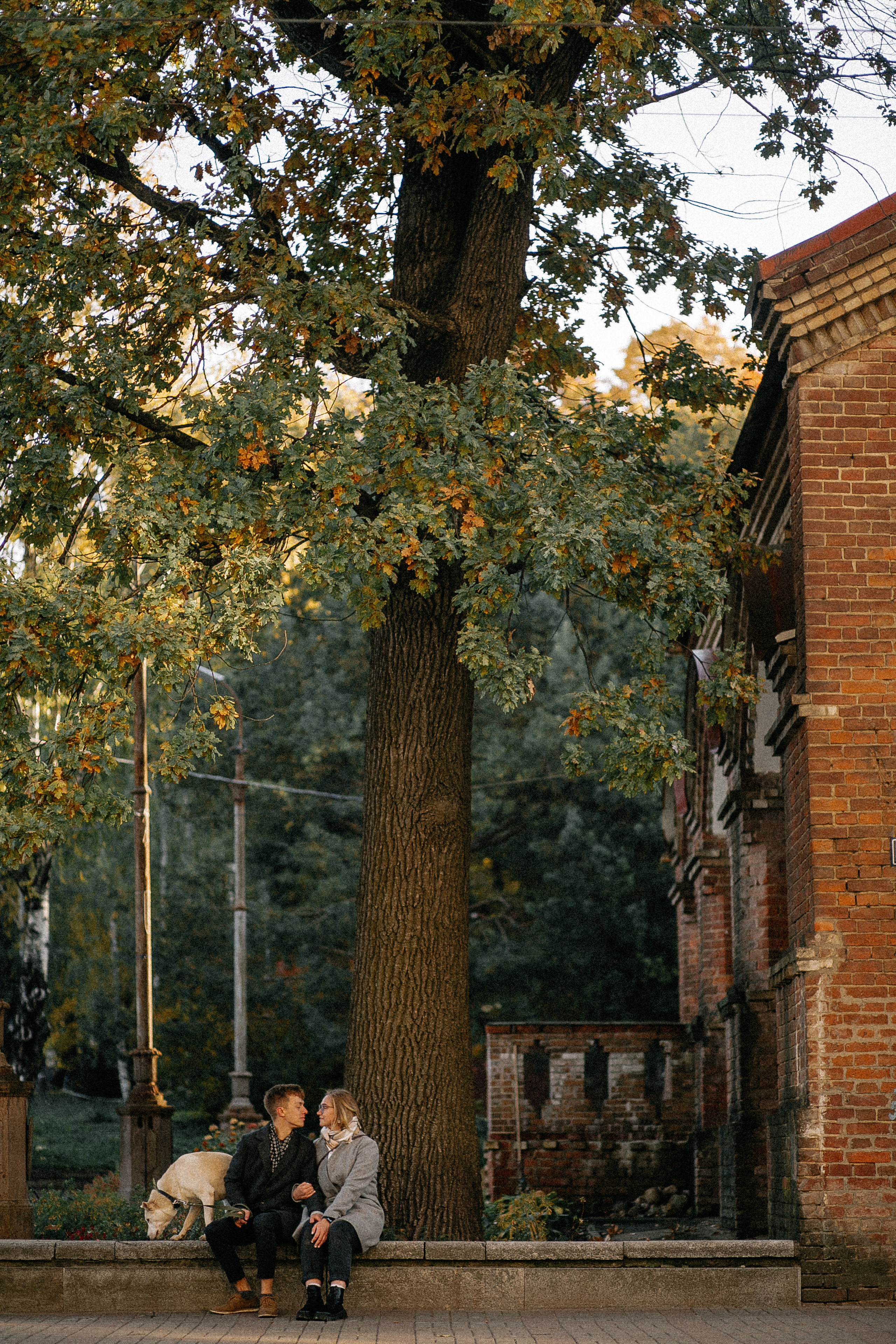 Ранняя прогулка. Анастасия Гольнева