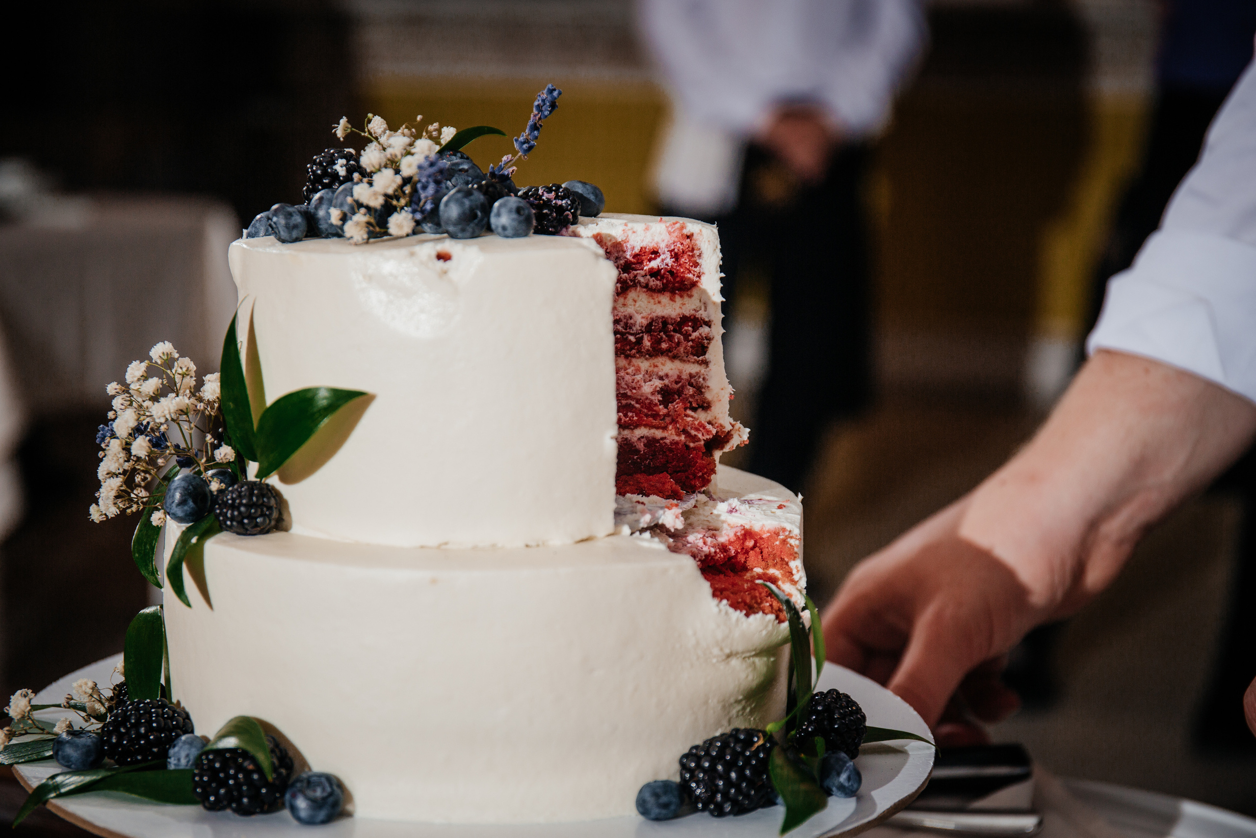 Сергей & Алина. Анастасия Гольнева