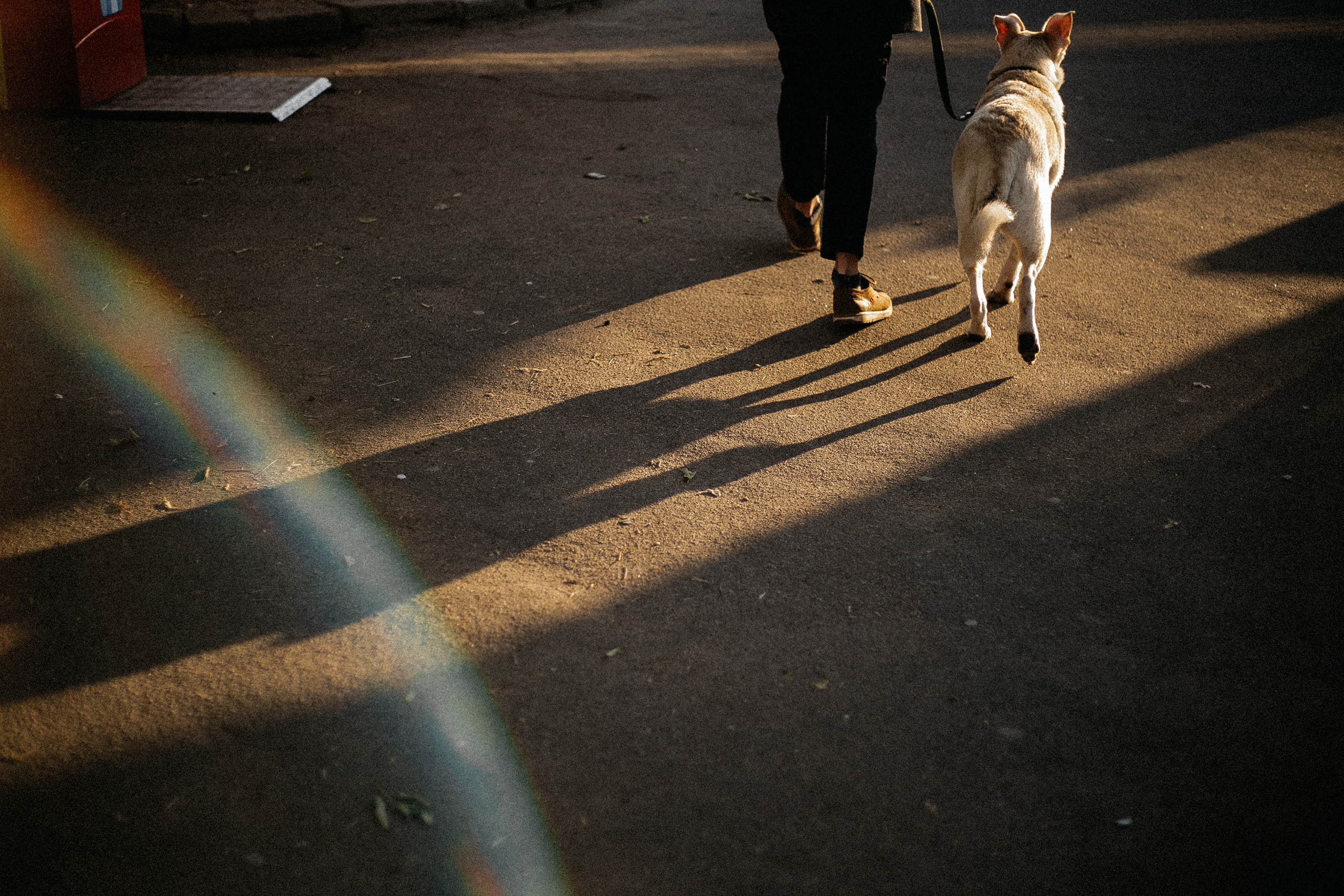 Ранняя прогулка. Анастасия Гольнева