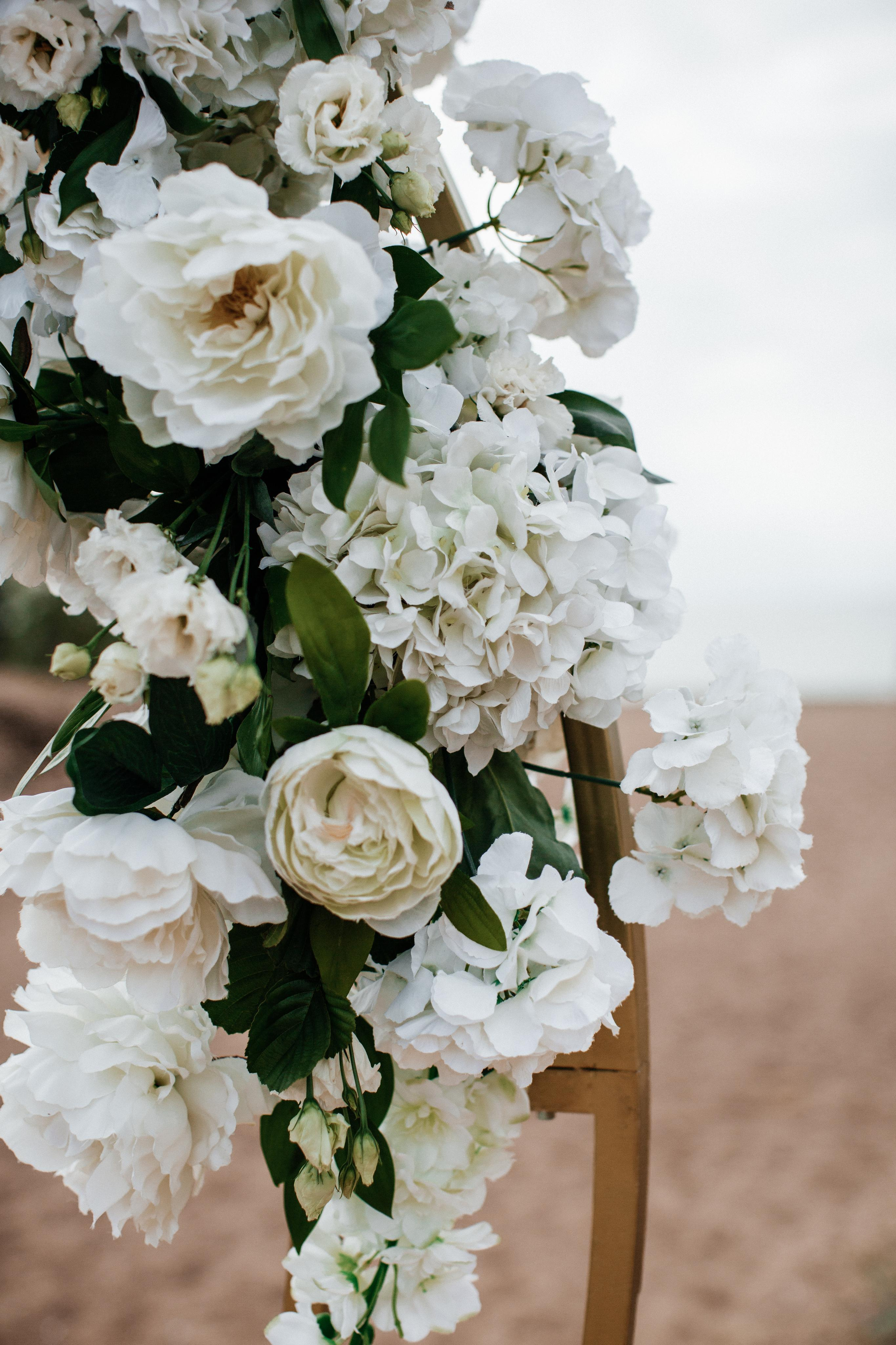 Сергей & Алина. Анастасия Гольнева