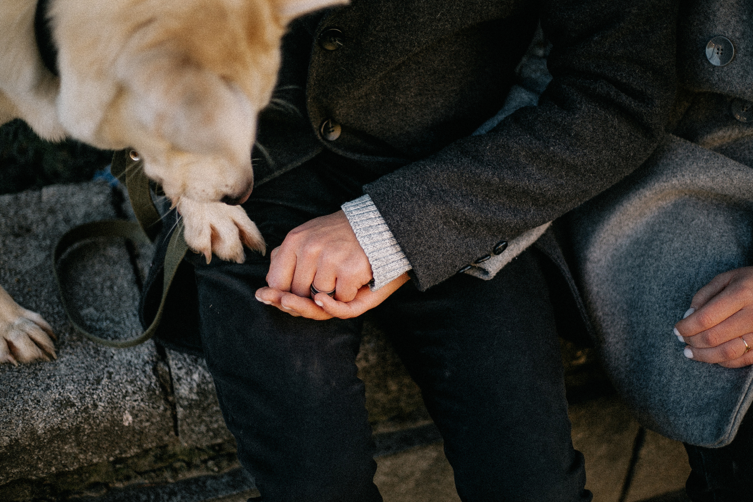 Ранняя прогулка. Анастасия Гольнева