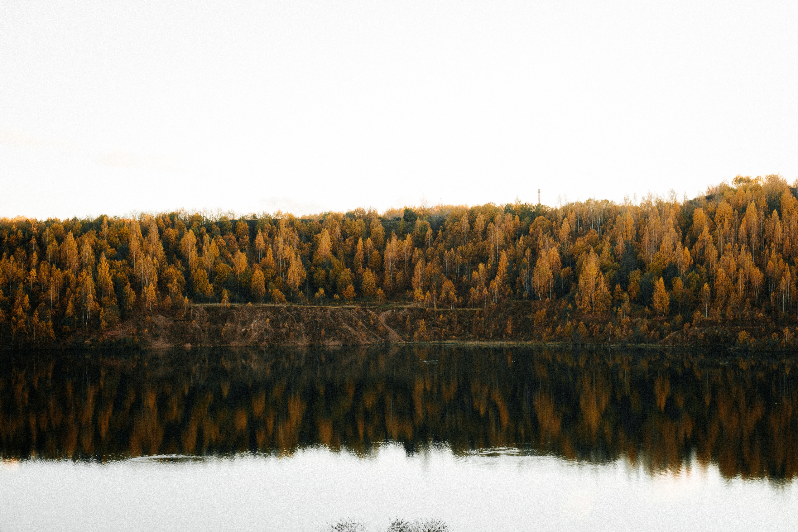 Женя & Вика. Анастасия Гольнева