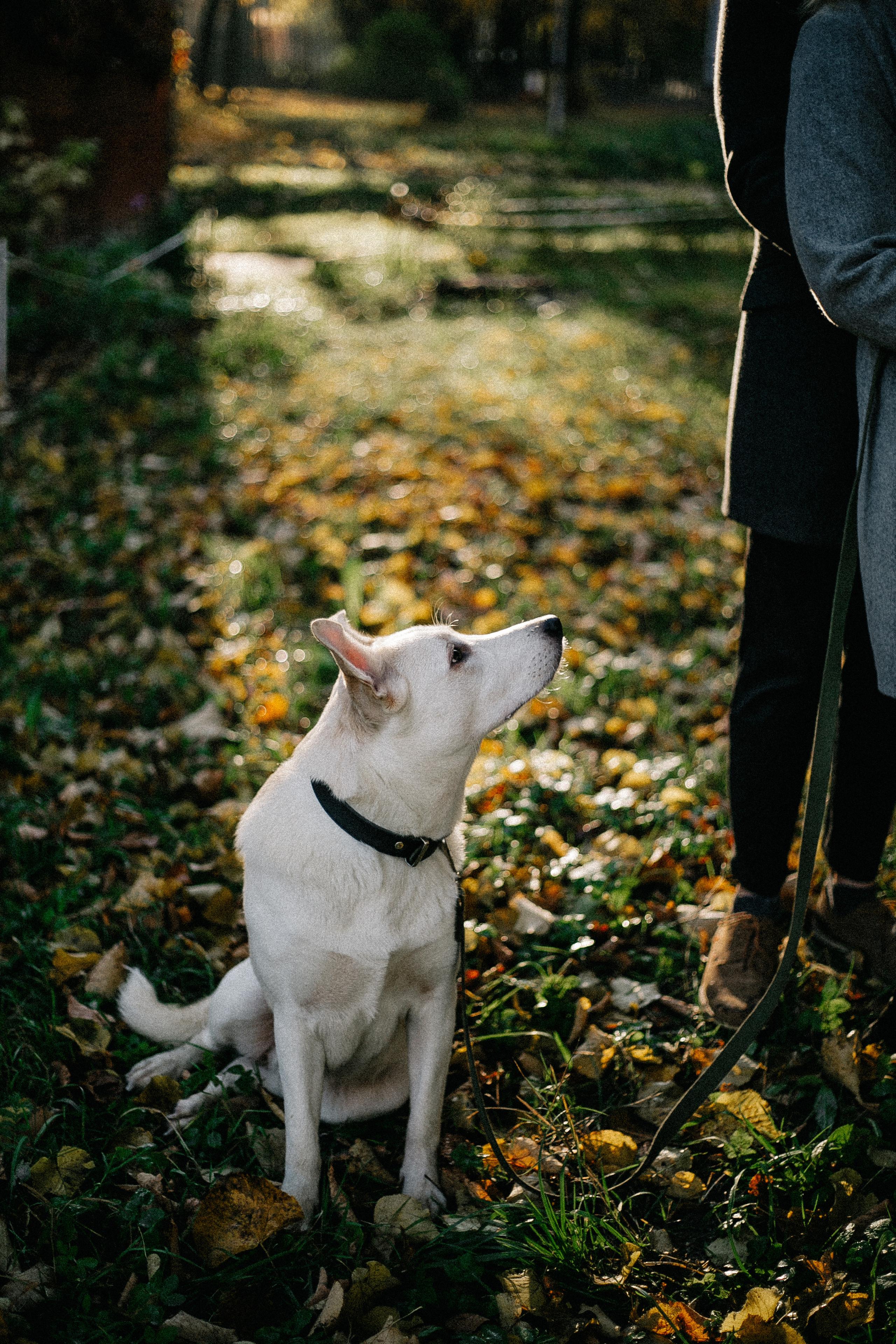 Ранняя прогулка. Анастасия Гольнева