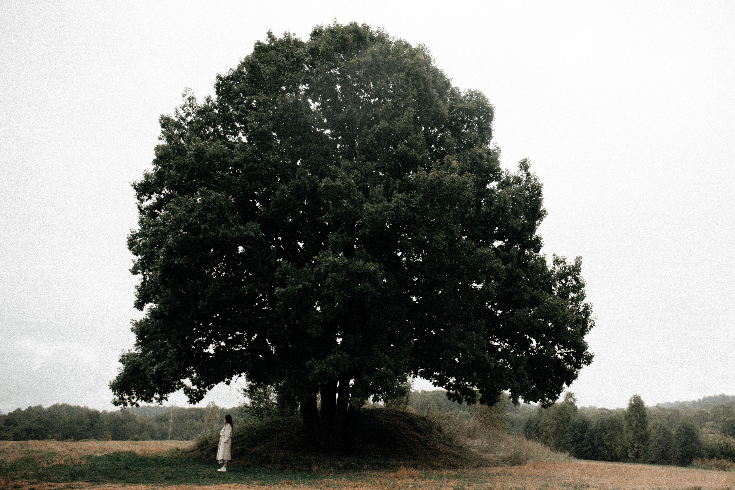 Маша. Анастасия Гольнева