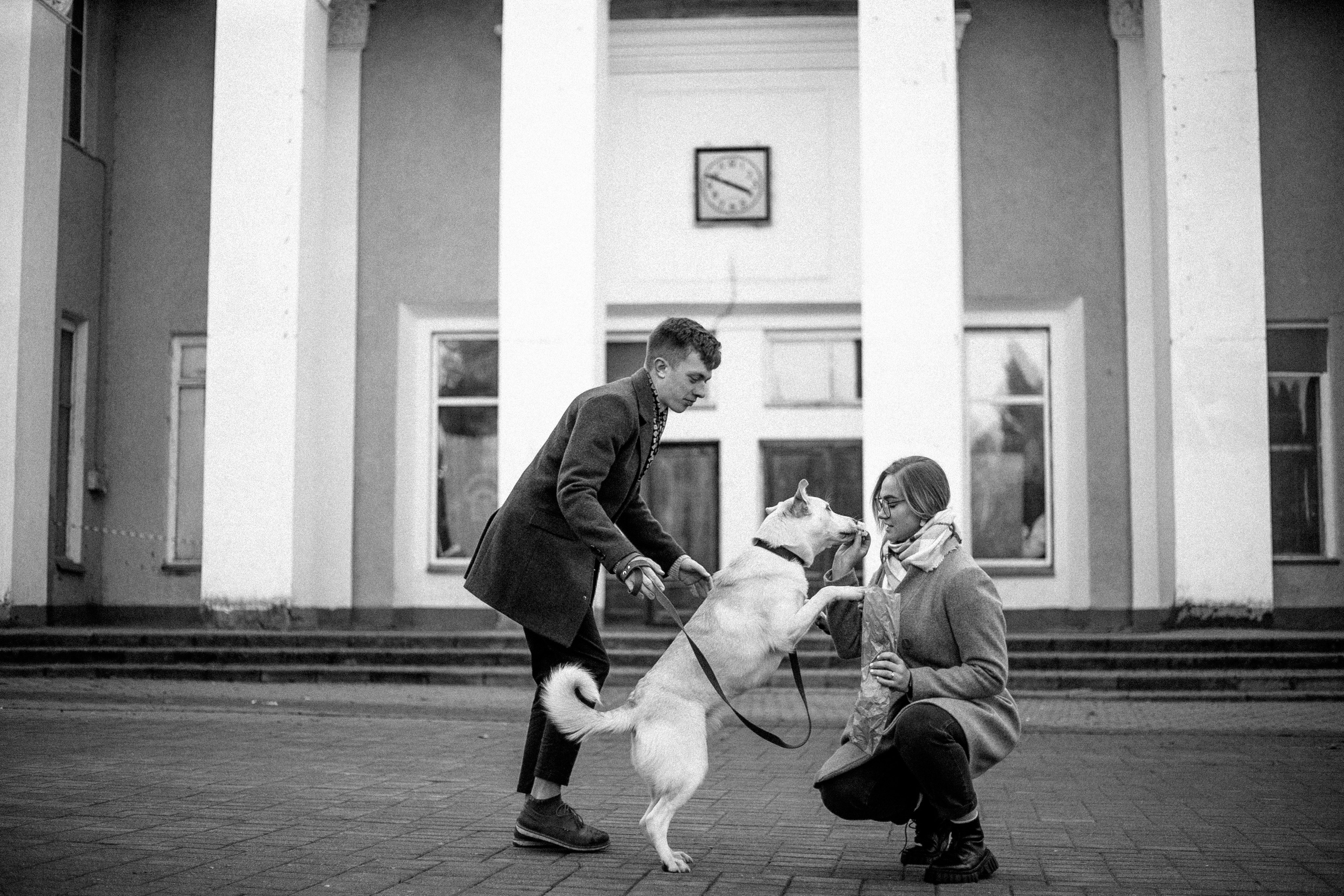 Ранняя прогулка. Анастасия Гольнева