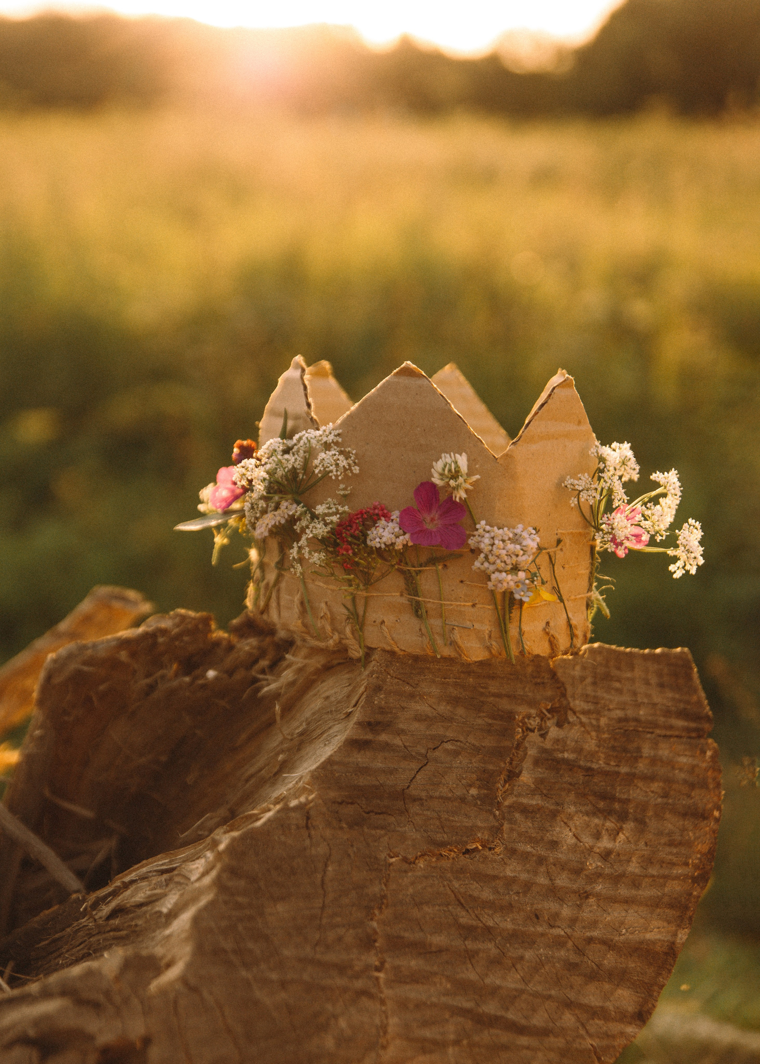 Галя, Варя, Аврора. Семейный фотограф В Москве Александра Дейкун