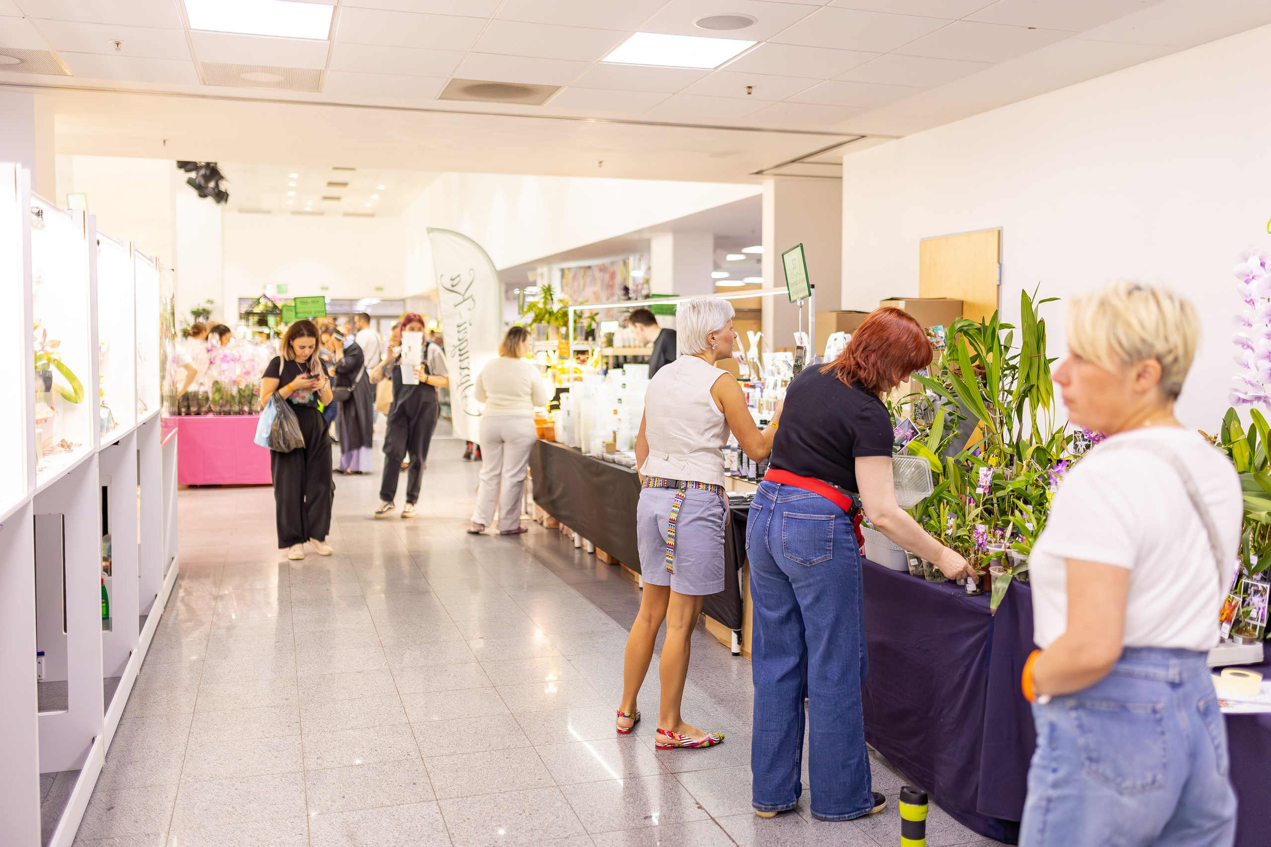 Орхидиум сентябрь 2025. Александра Куликова фотограф, Москва