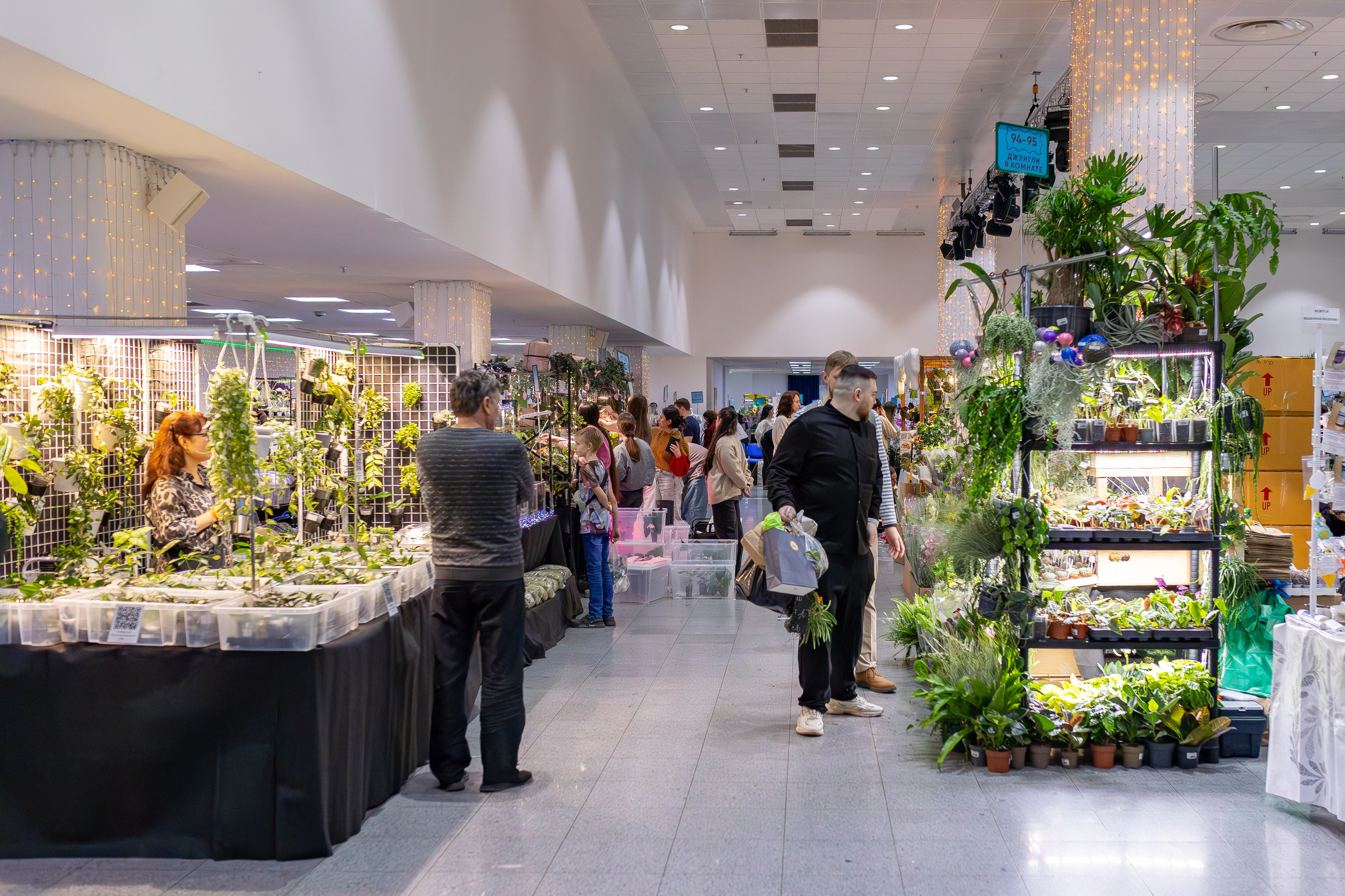 Орхидиум 12.2025. Александра Куликова фотограф, Москва