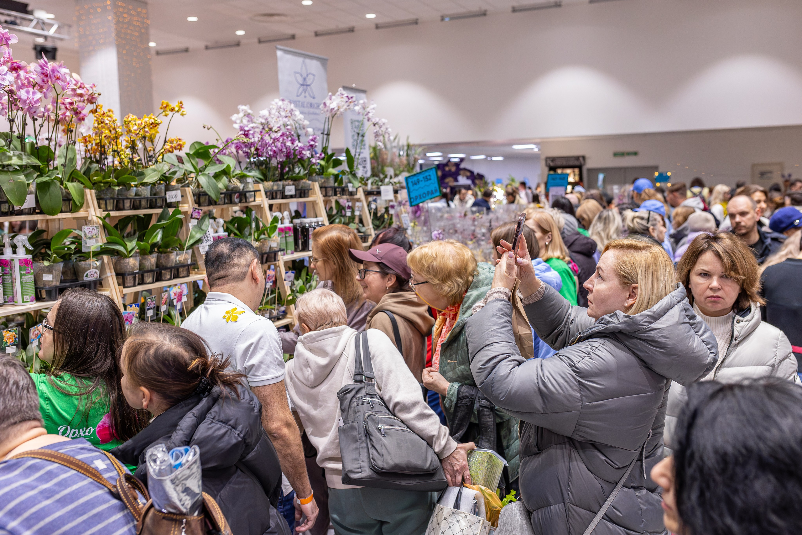 Орхидиум 12.2025. Александра Куликова фотограф, Москва