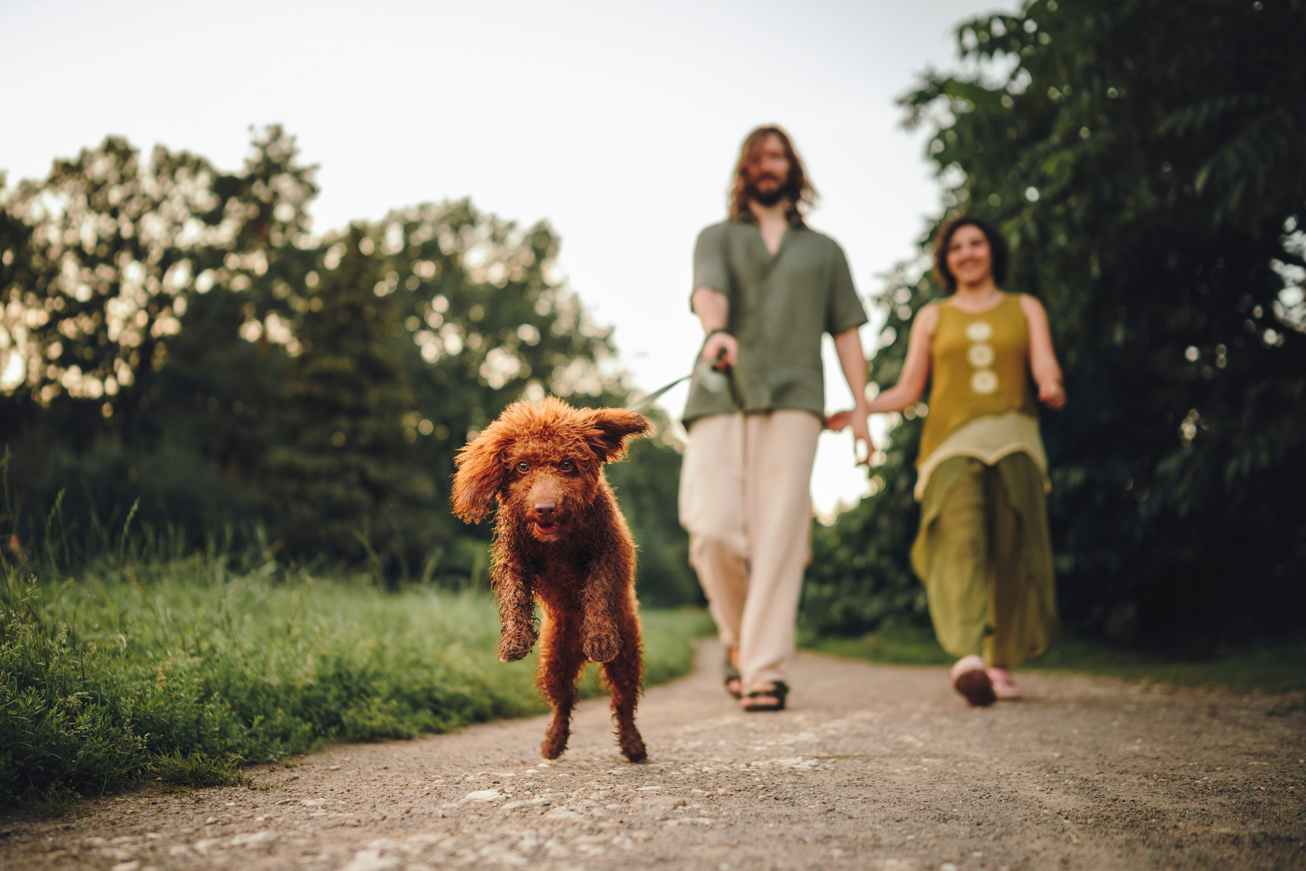 Марина, Тарас и Хагрид. Семейный фотограф анималист Ананьева Мария — Москва