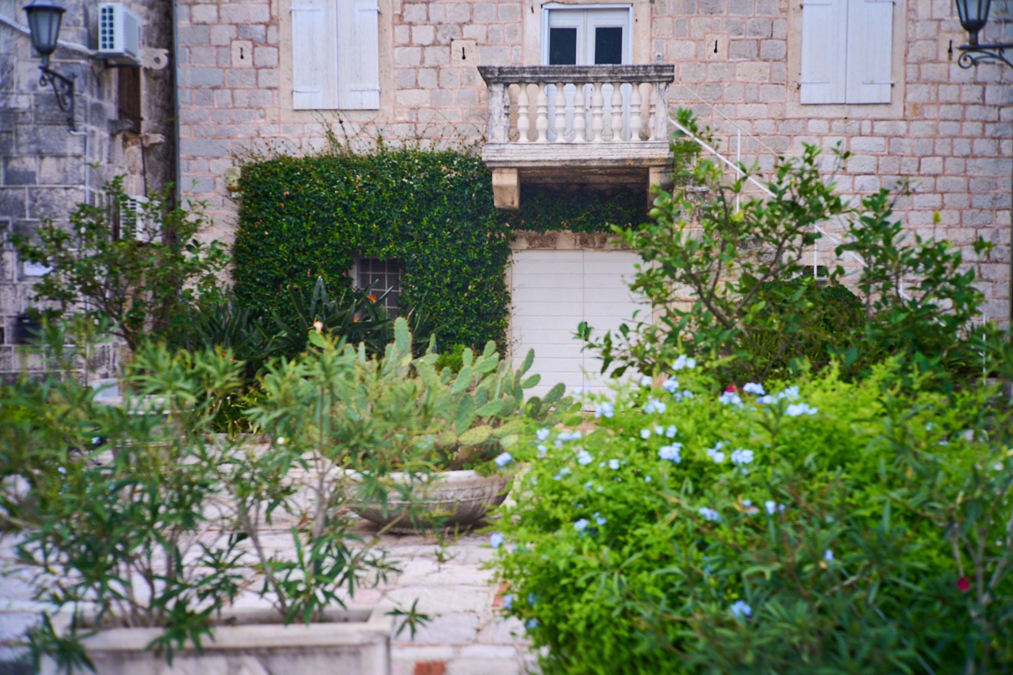 Черногория, сентябрь 2024. Фотограф, Римма Невинская