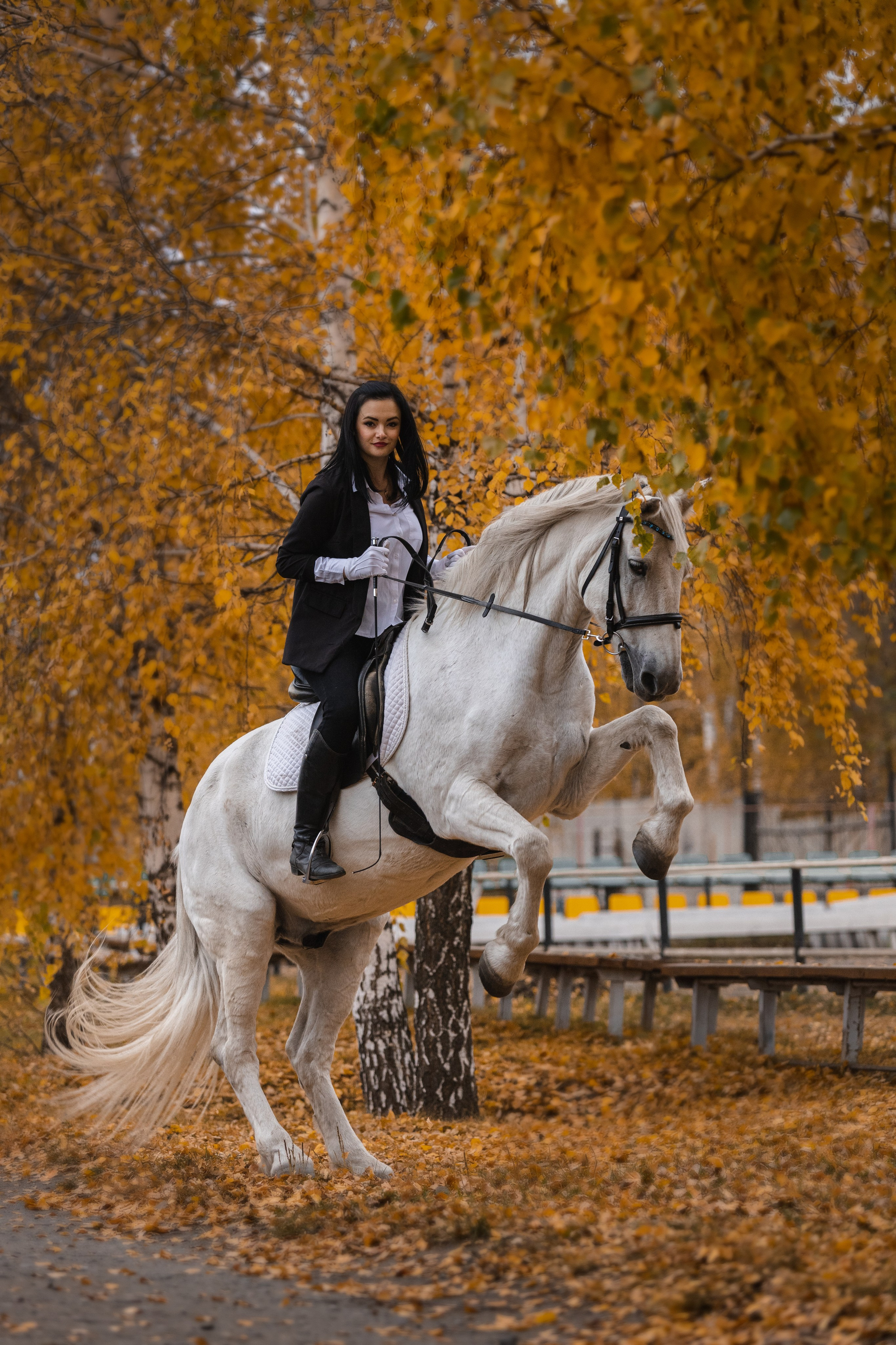 Человек и Лошадь. Главная