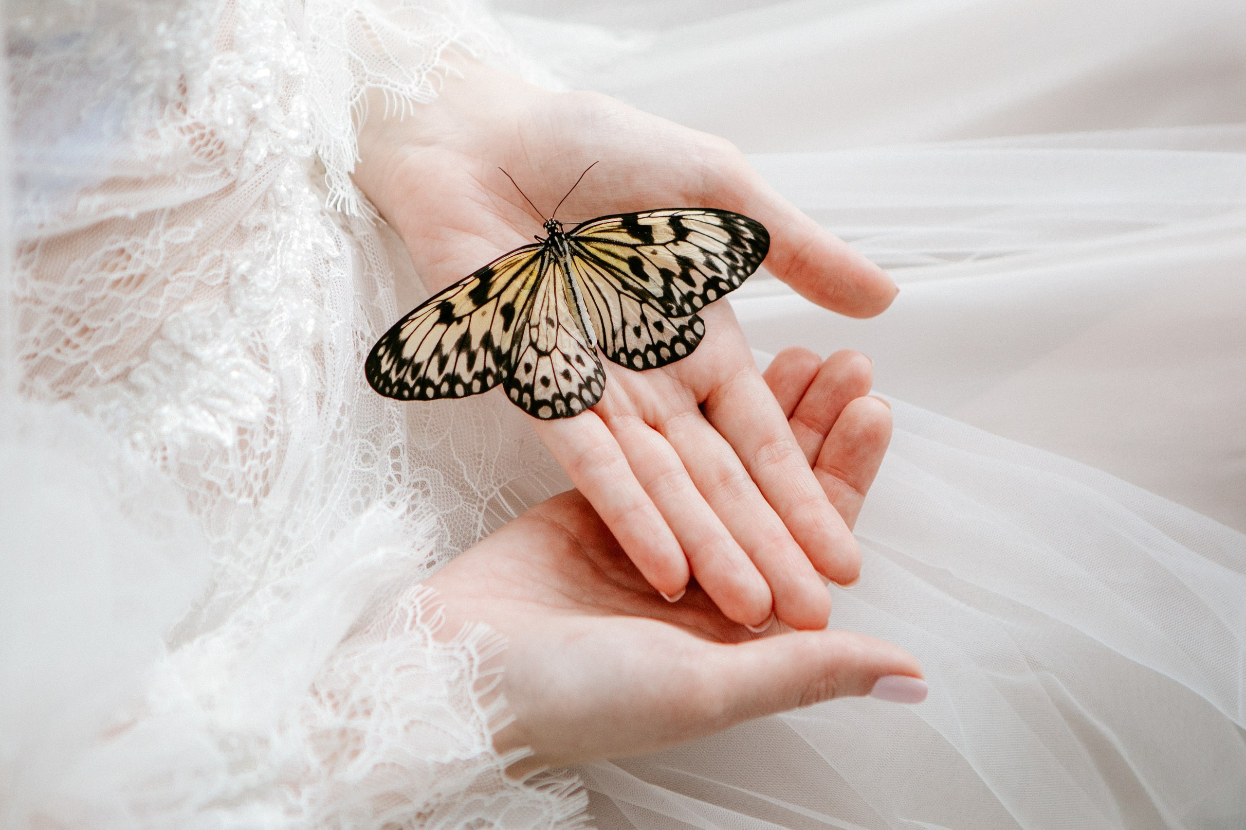 Свадьбы. Главная