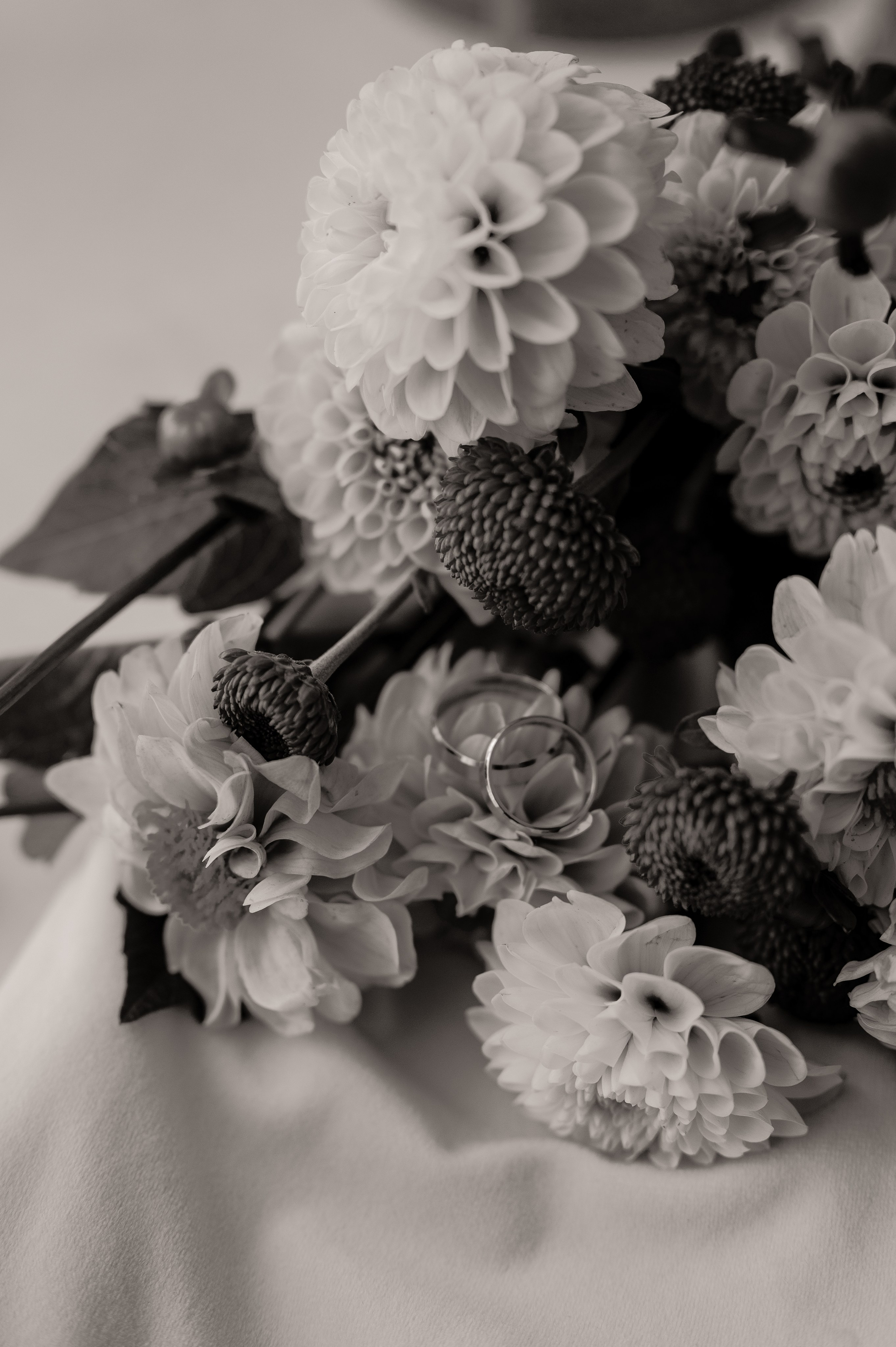 Антон и Таня. Свадебный и семейный фотограф в Краснодаре Алина Мельник