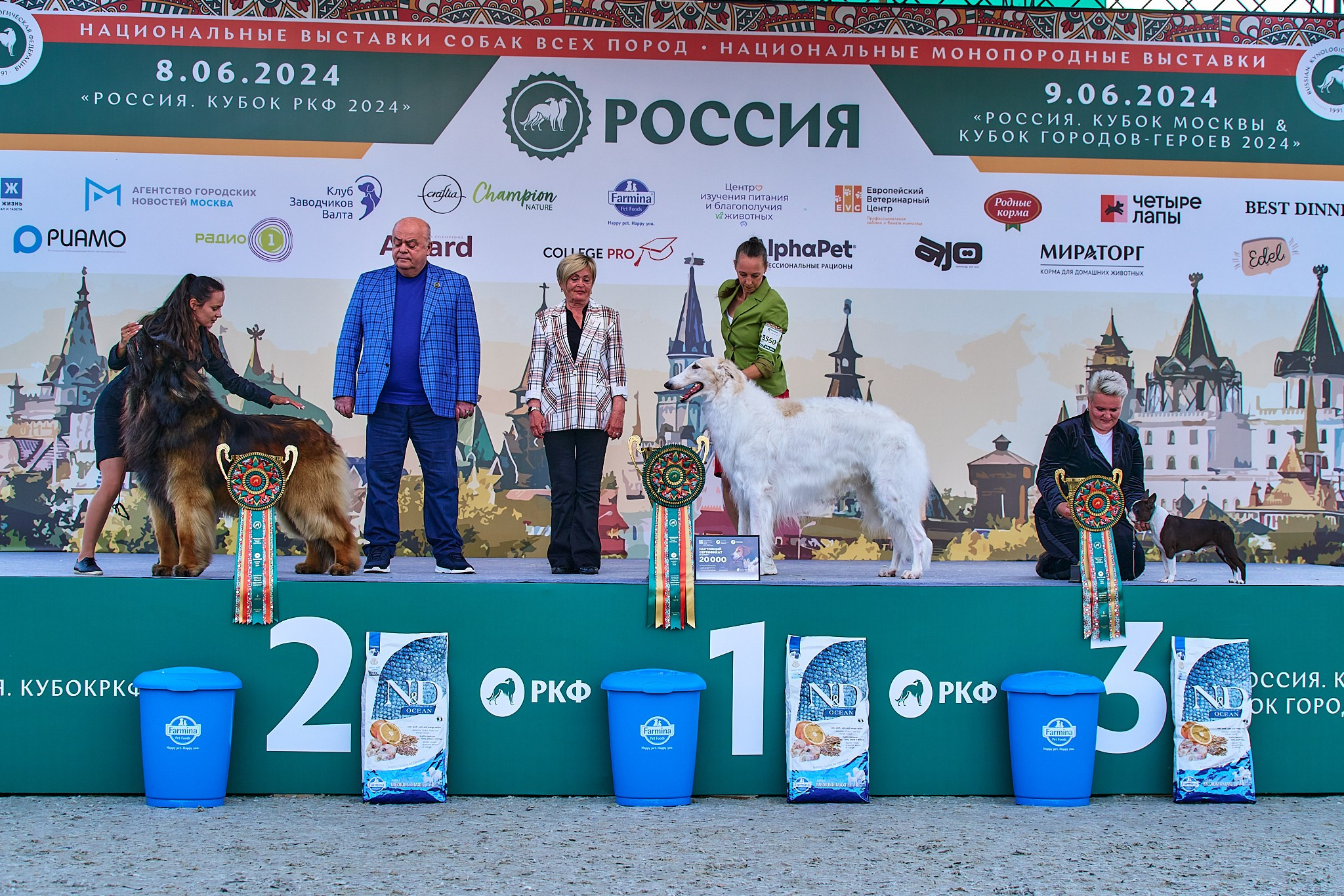 08.06.2024 «РОССИЯ. КУБОК РКФ 2024»